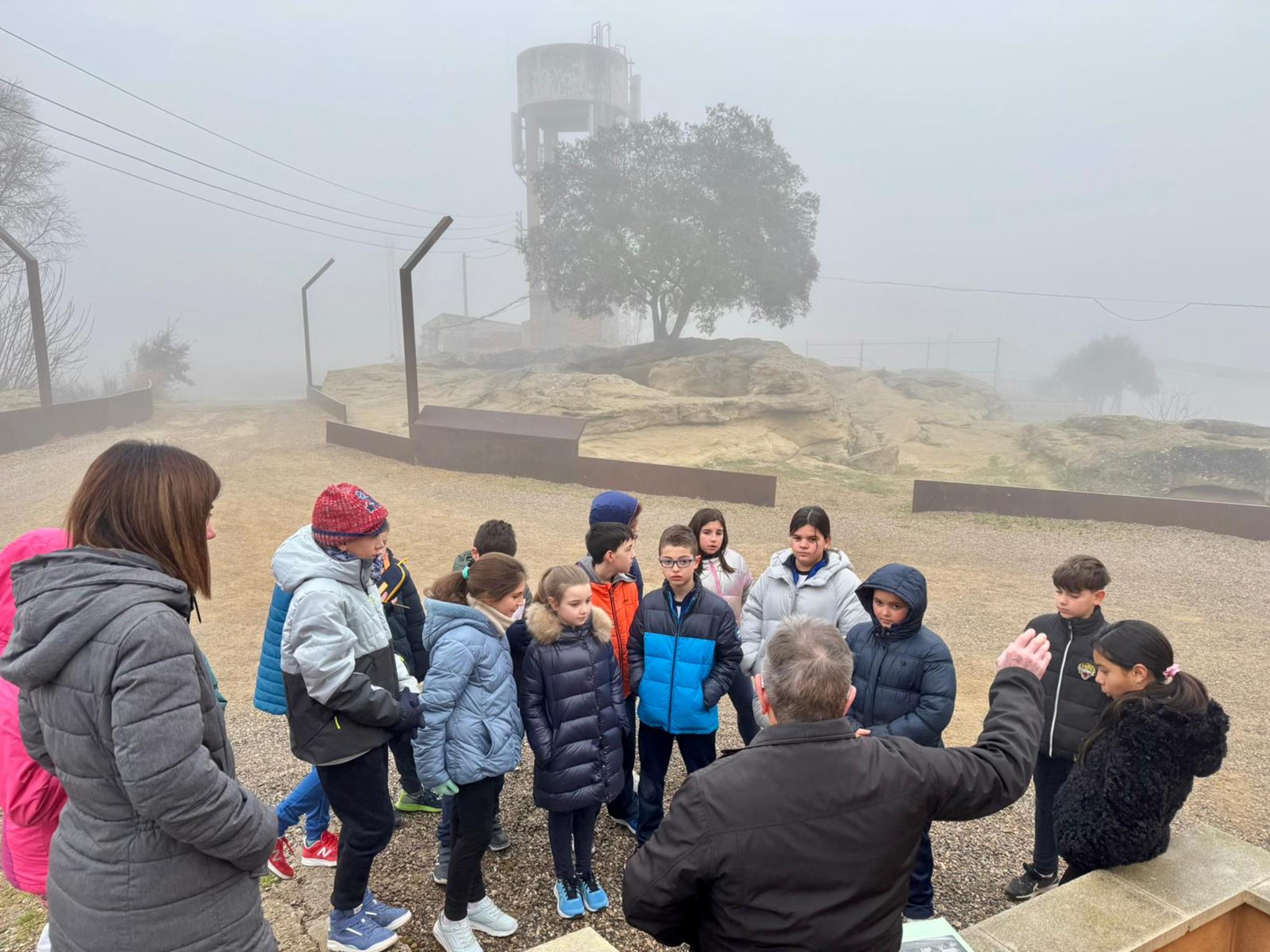 IMG-20250203-WA0002 (Copy)