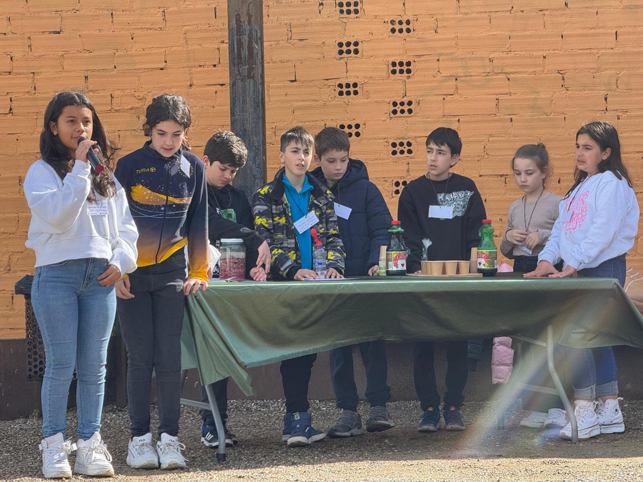 IMG-20250321-WA0040 (Copy)