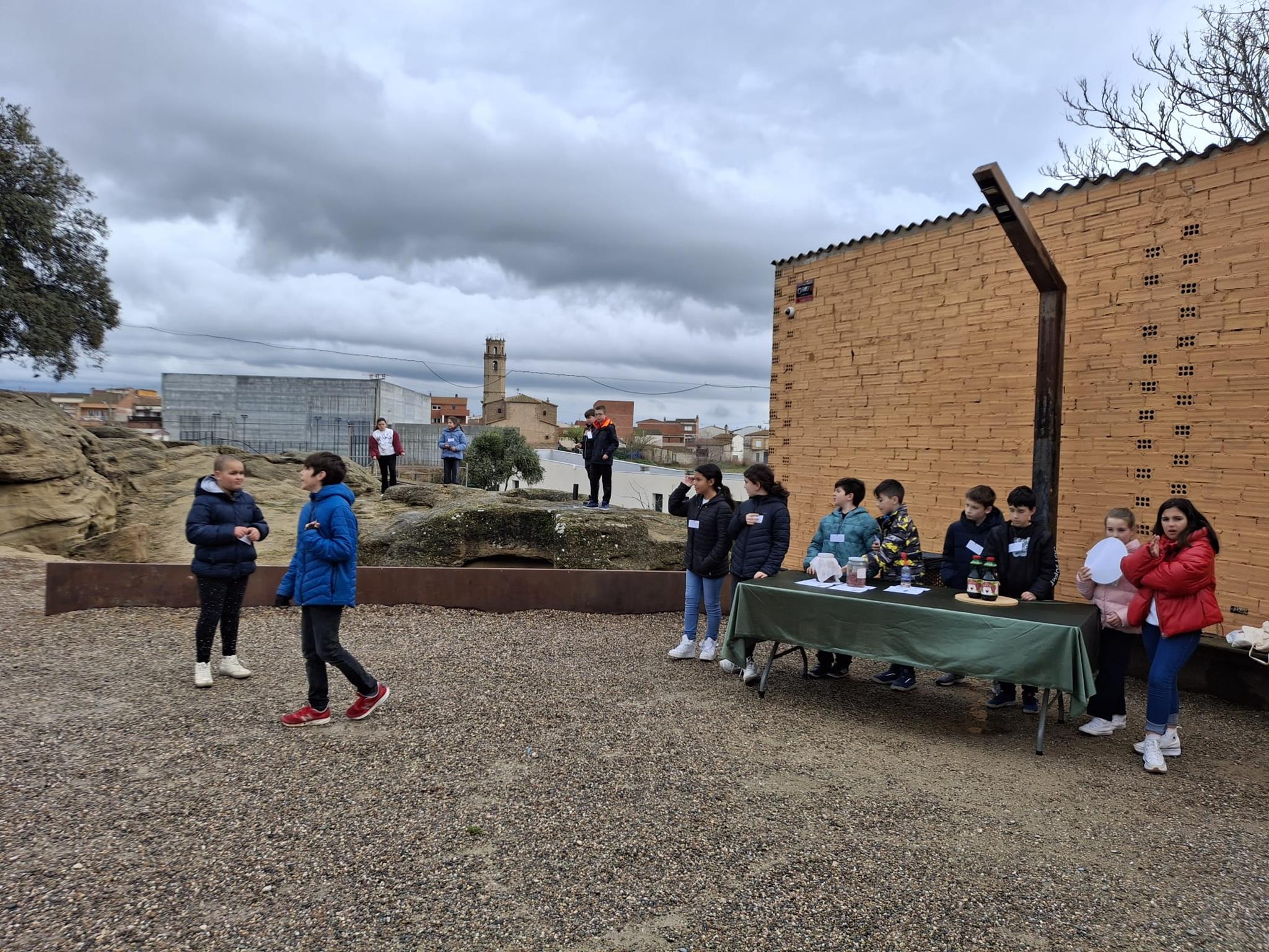 IMG-20250324-WA0008 (Copy)