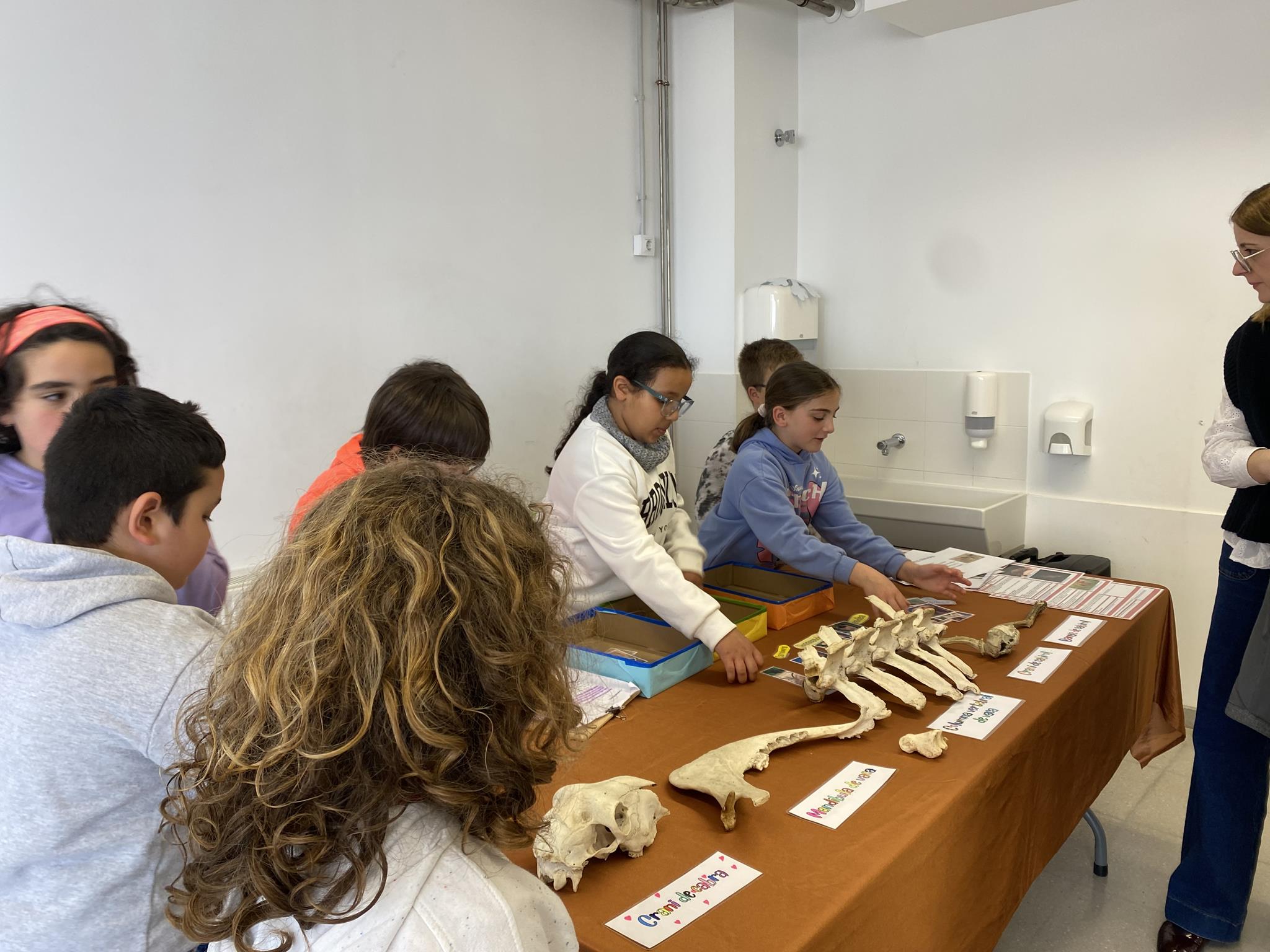 PROJECTE 3R (6) (Copy)