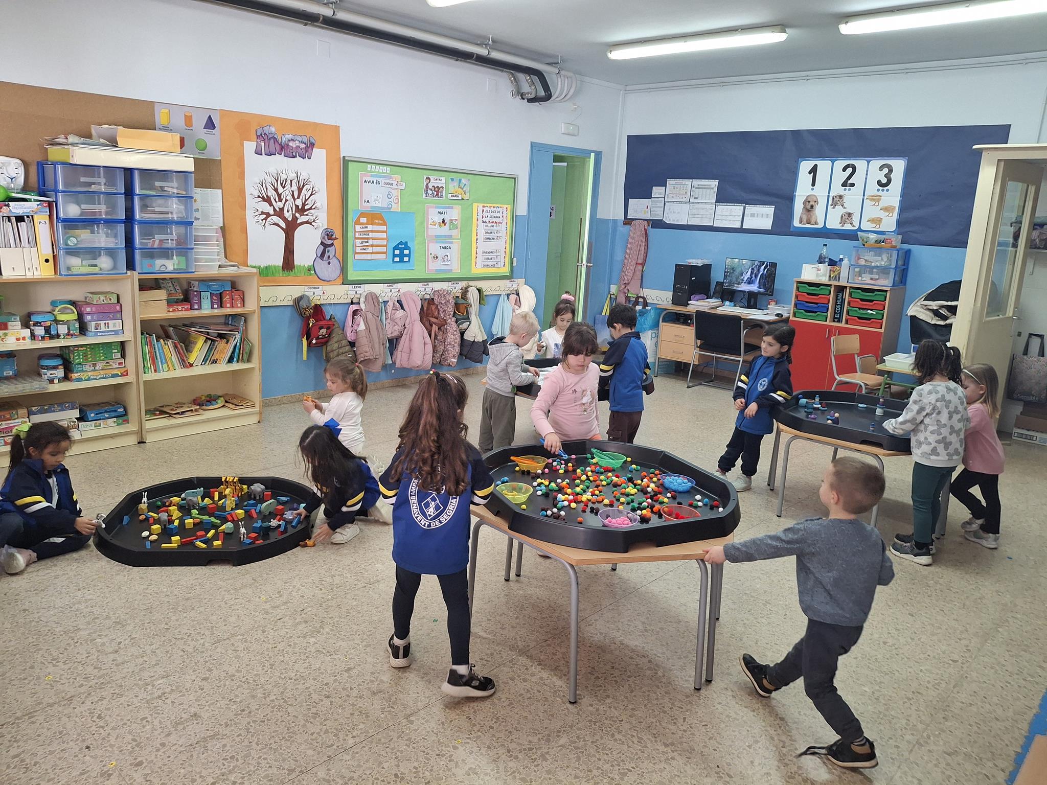 20250123_145240 (Copy)