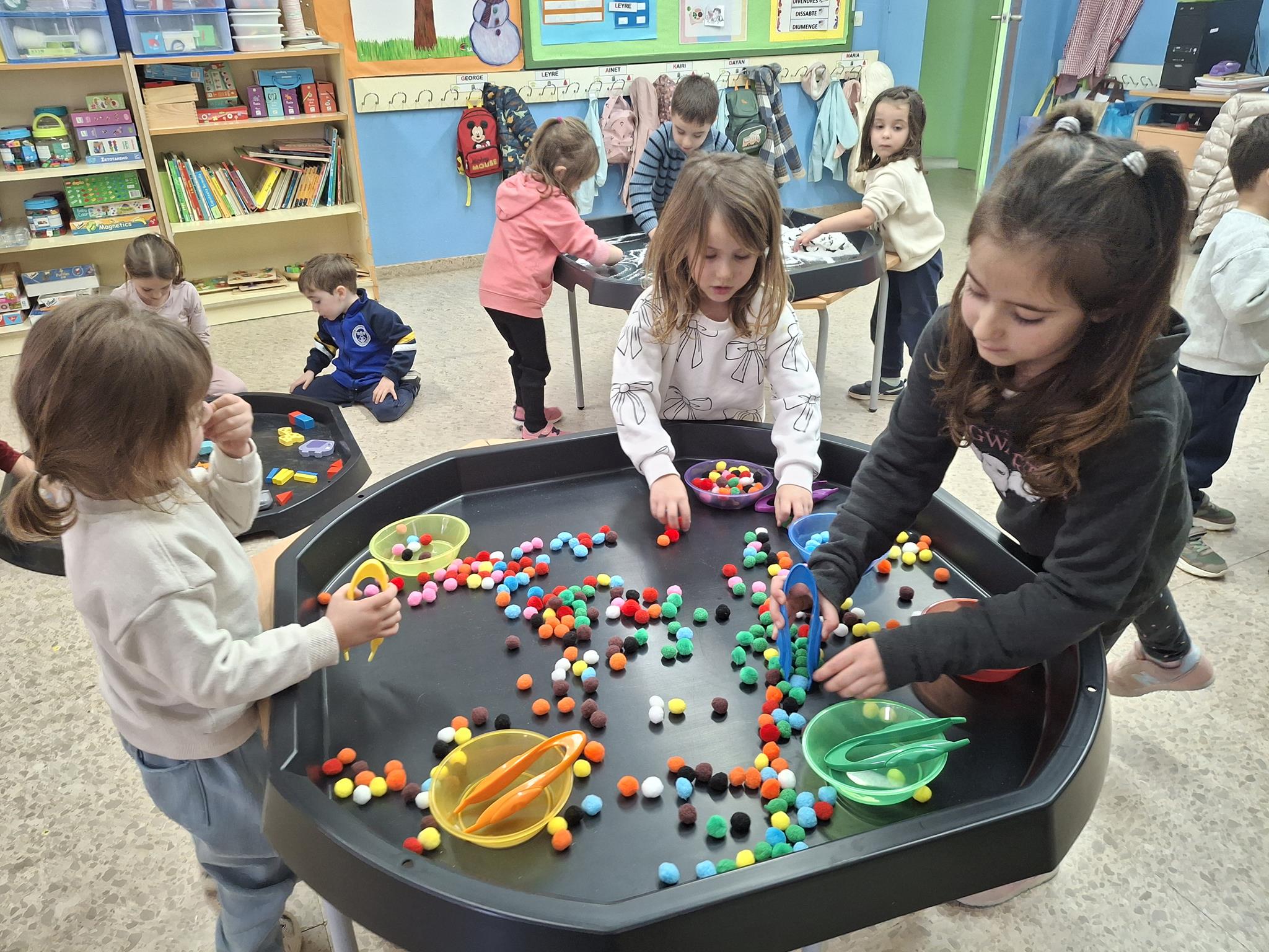 20250130_145938 (Copy)