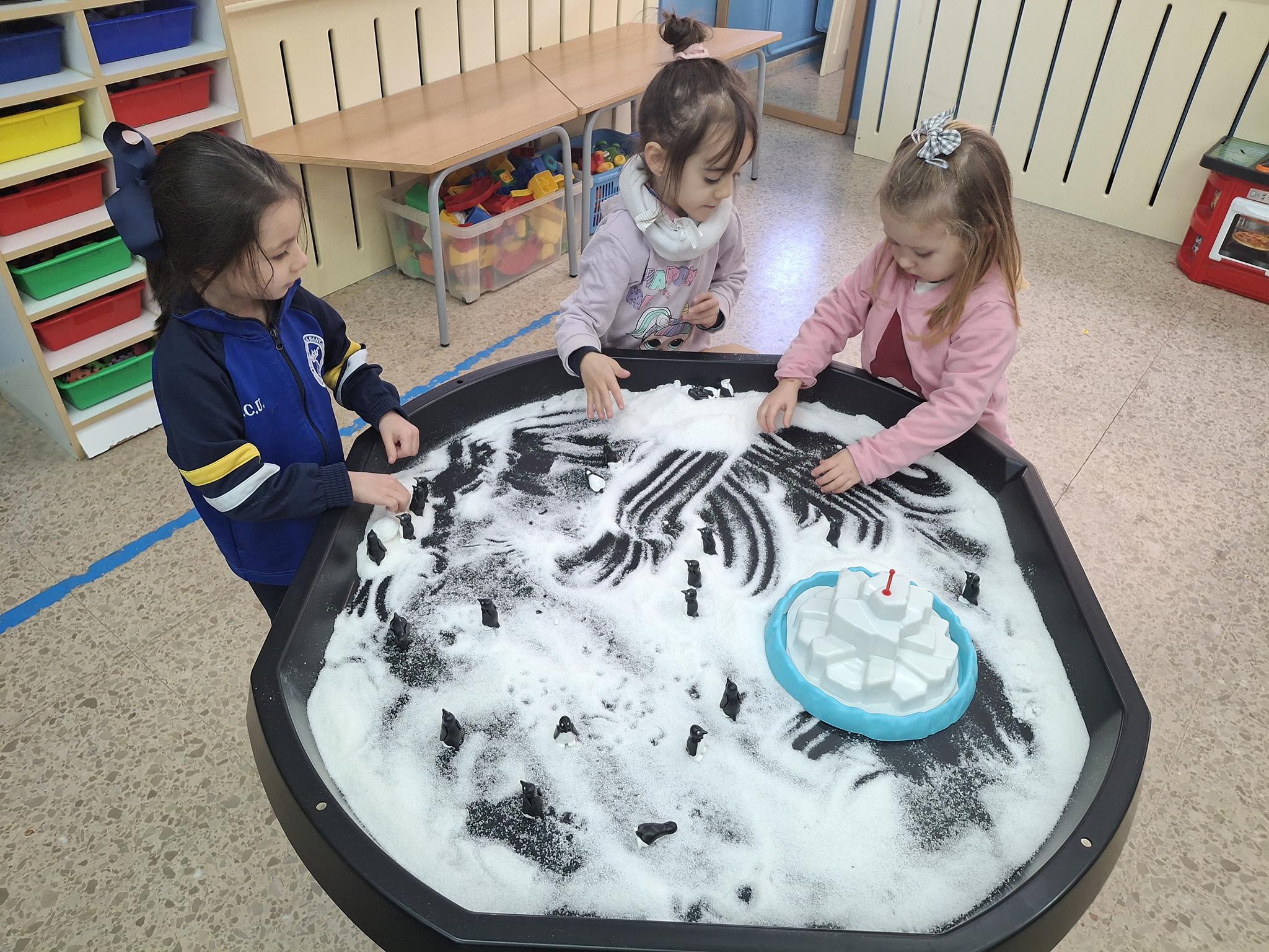 20250206_144450 (Copy)