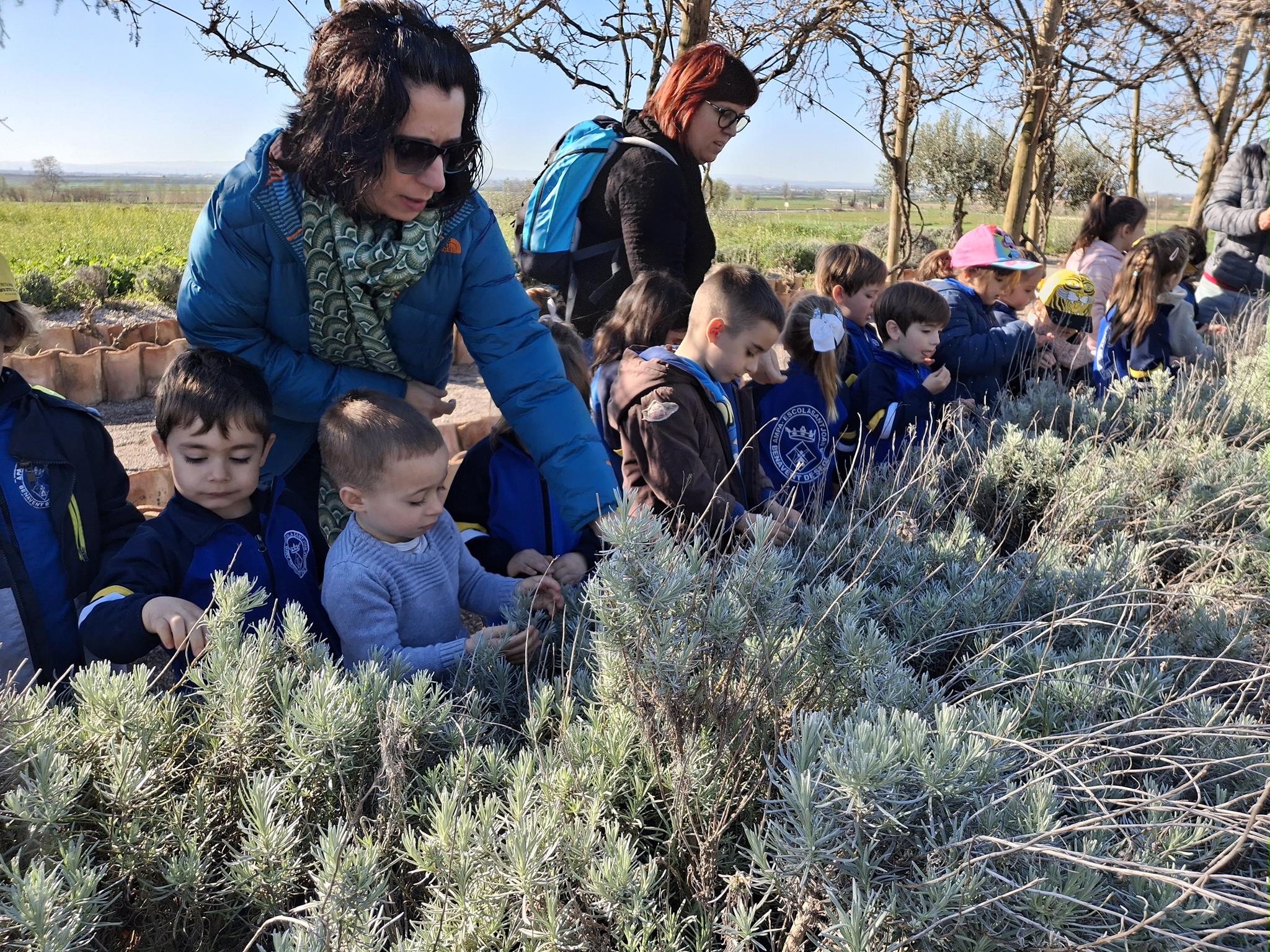 20250331_101642 (Copy)