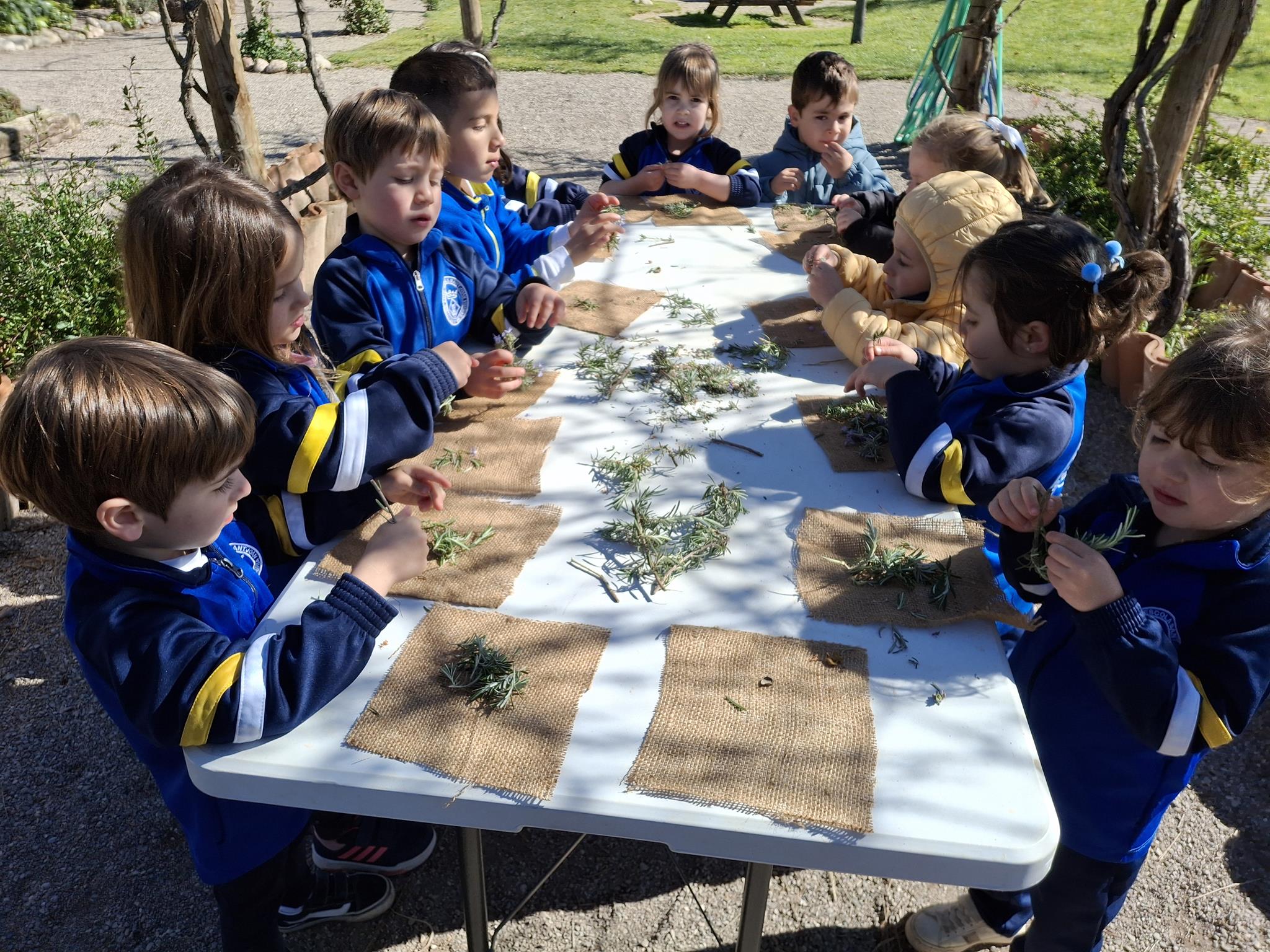 20250331_111817 (Copy)