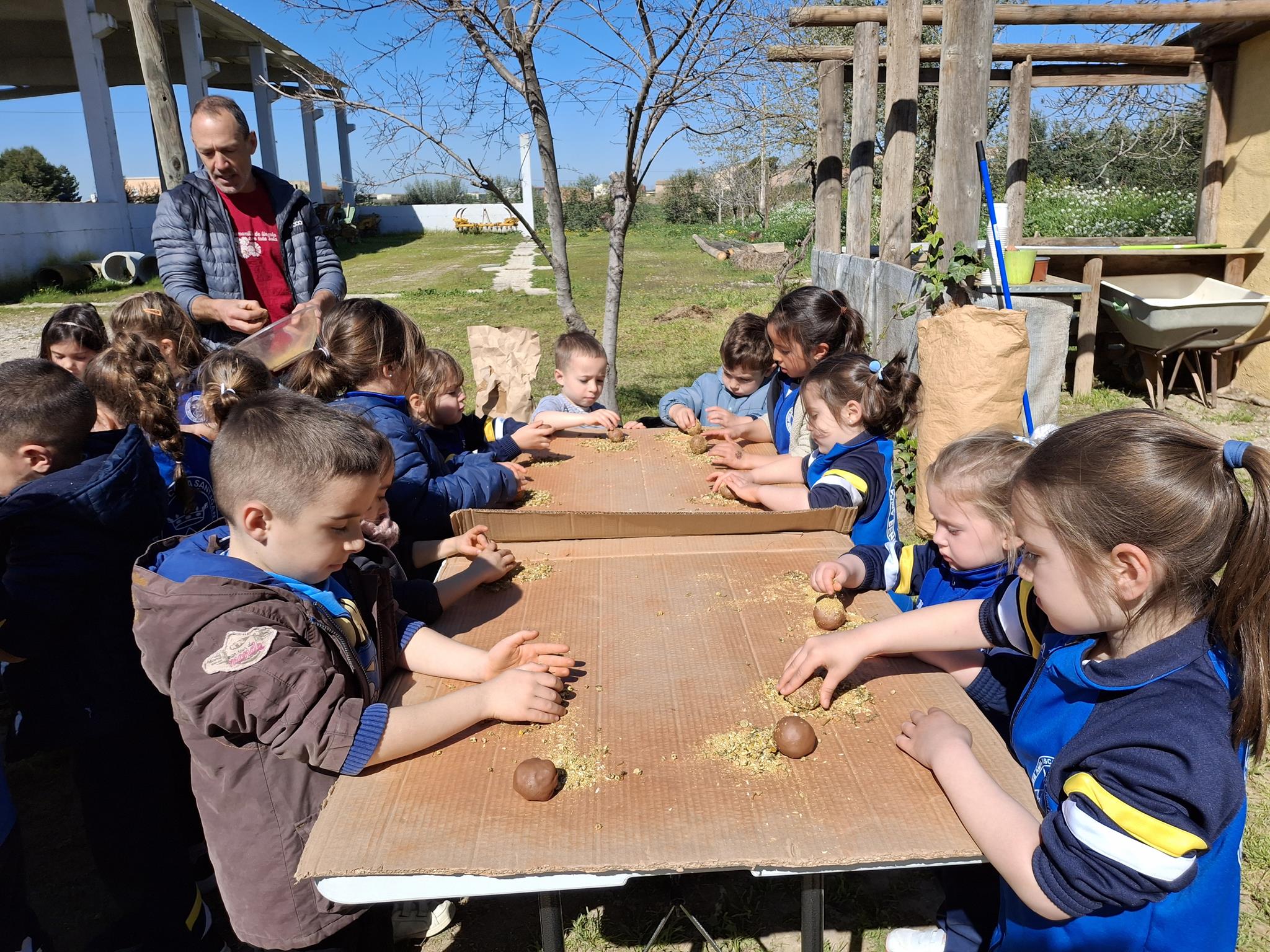 20250331_115636 (Copy)