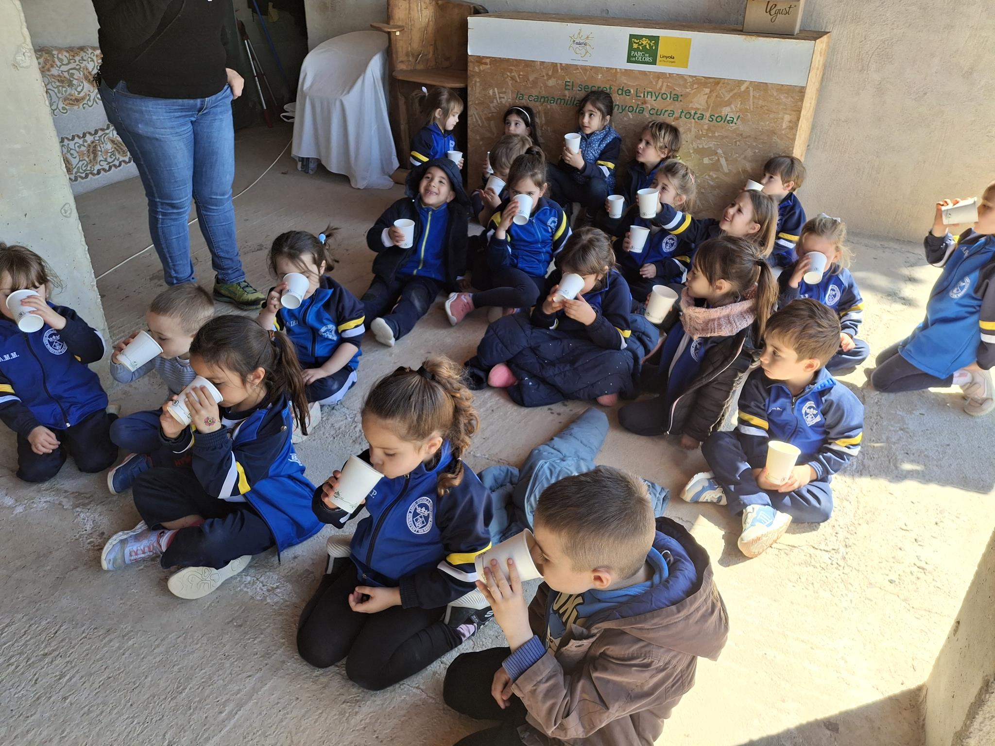 20250331_130005 (Copy)