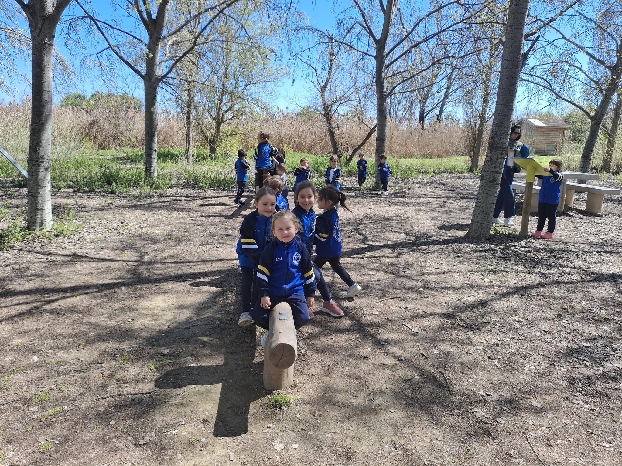 20250331_140438 (Copy)