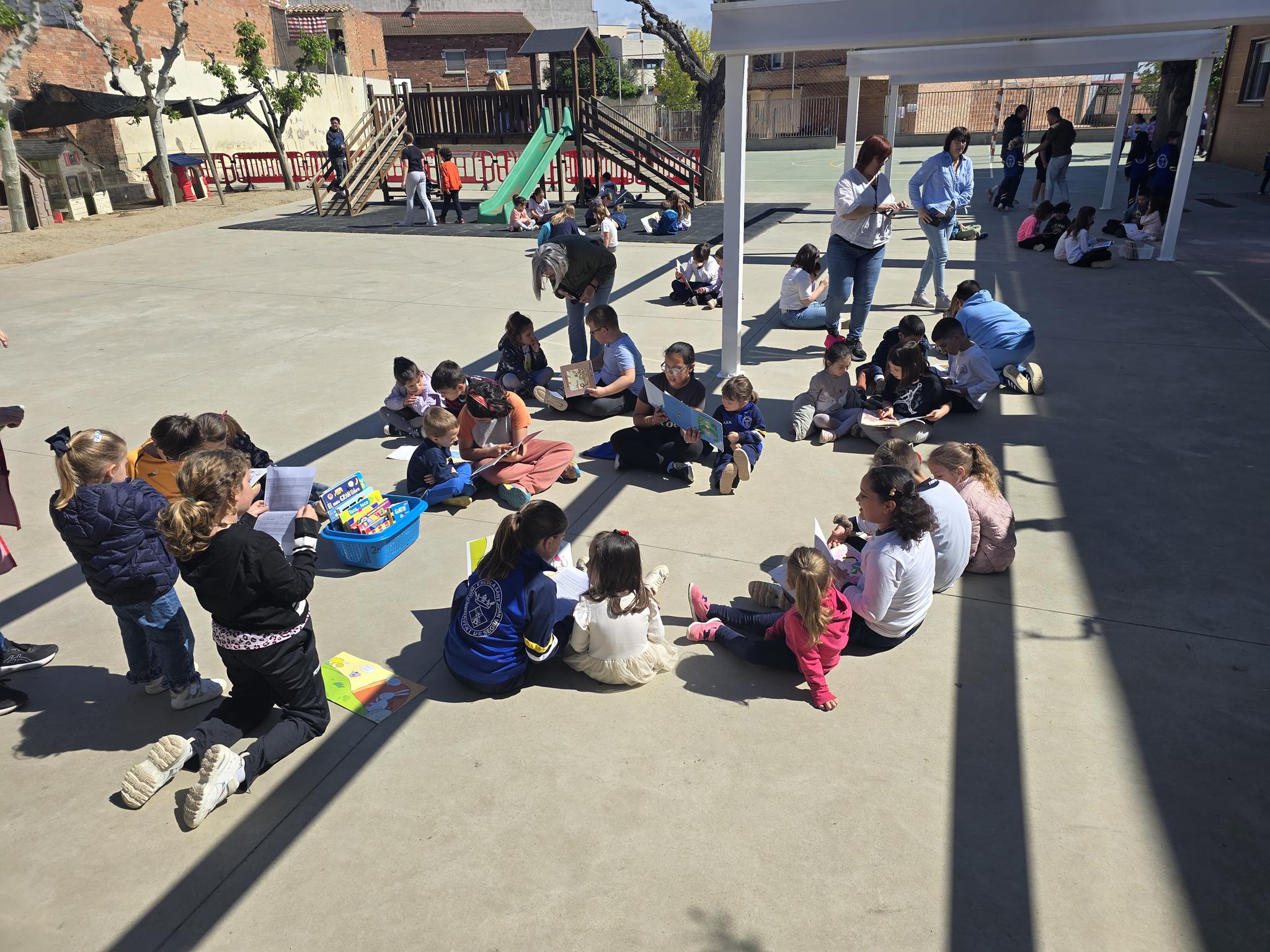 20250423_114636 (Copy)