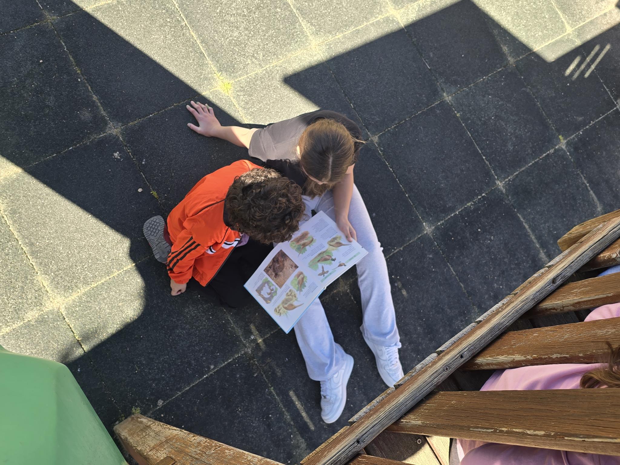 20250423_115002 (Copy)