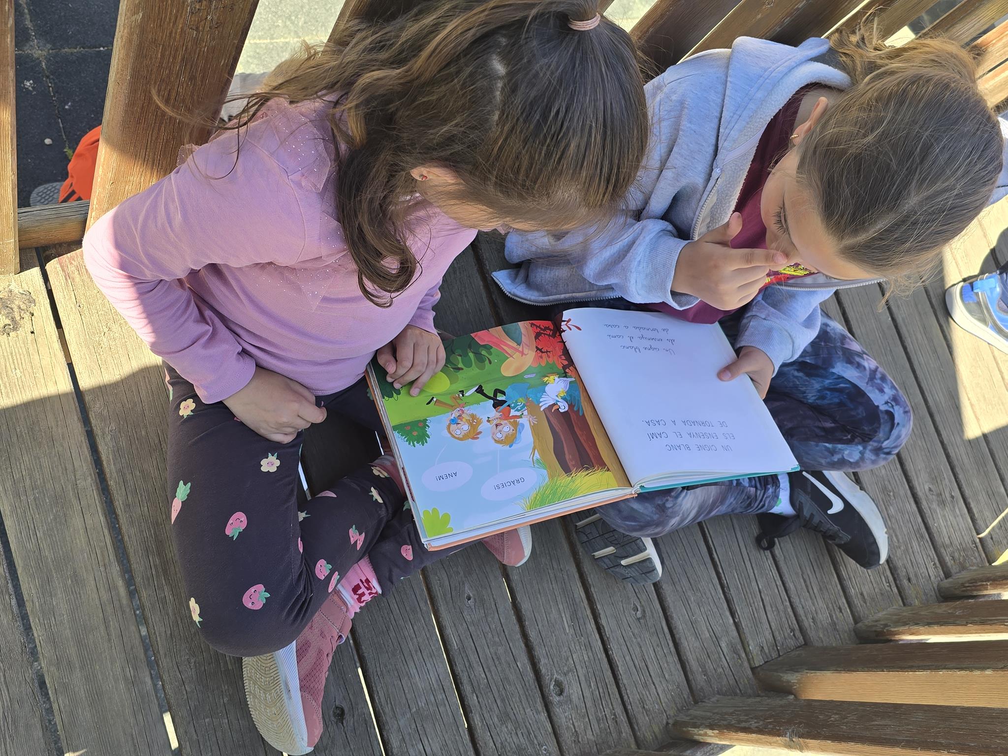 20250423_115006 (Copy)