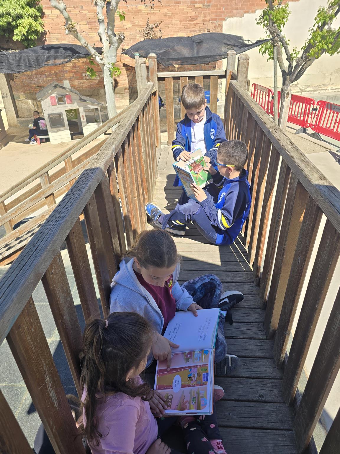 20250423_115031 (Copy)