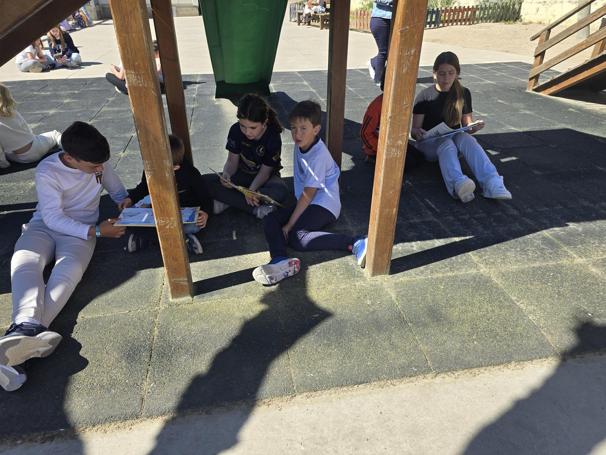 20250423_115124 (Copy)