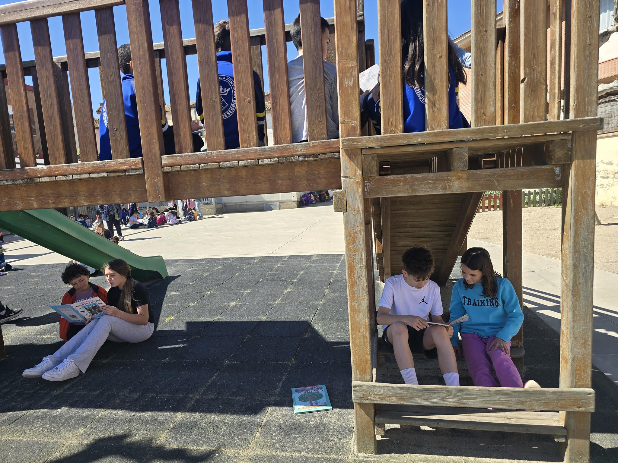 20250423_115133 (Copy)