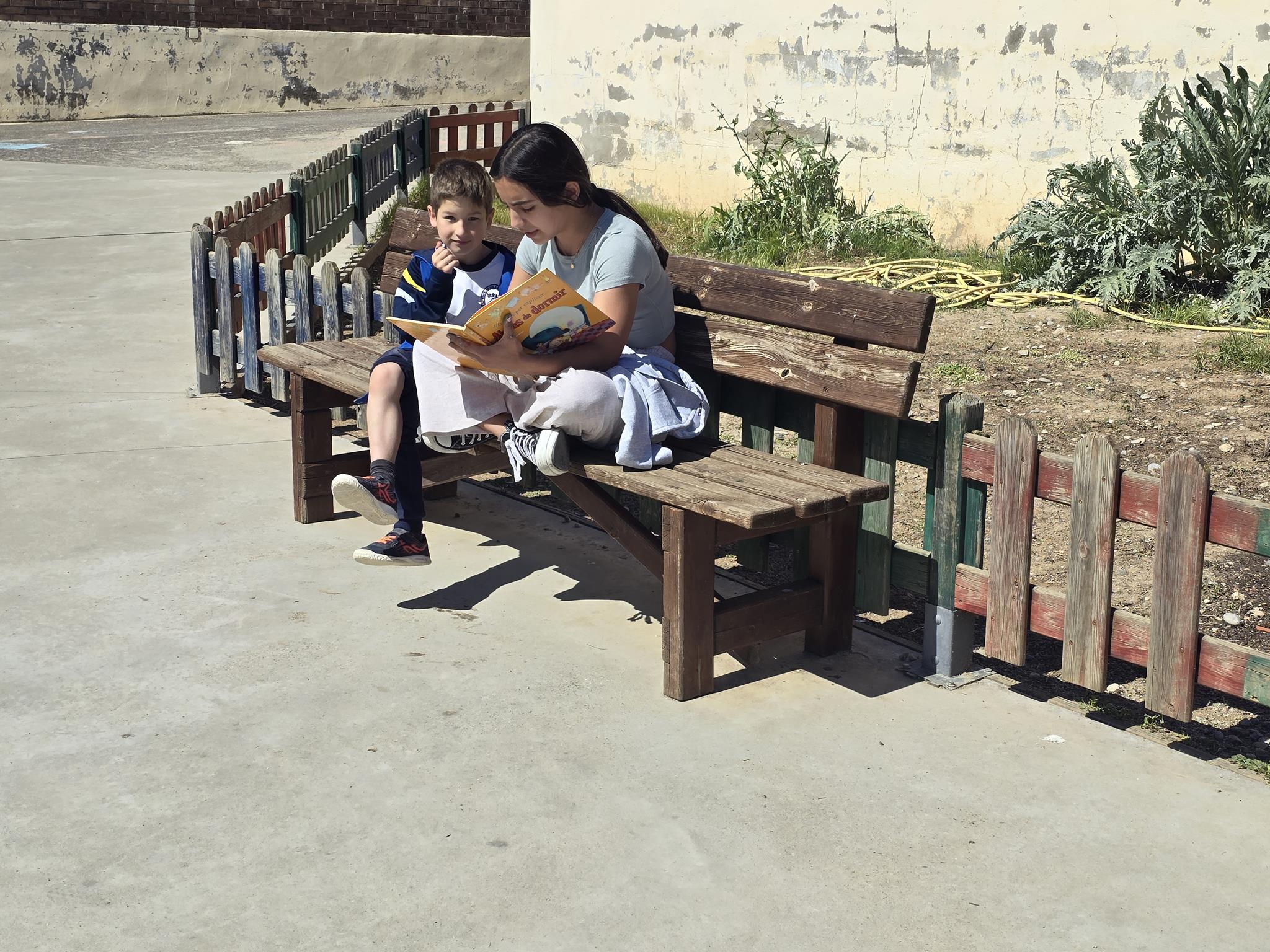 20250423_115202 (Copy)