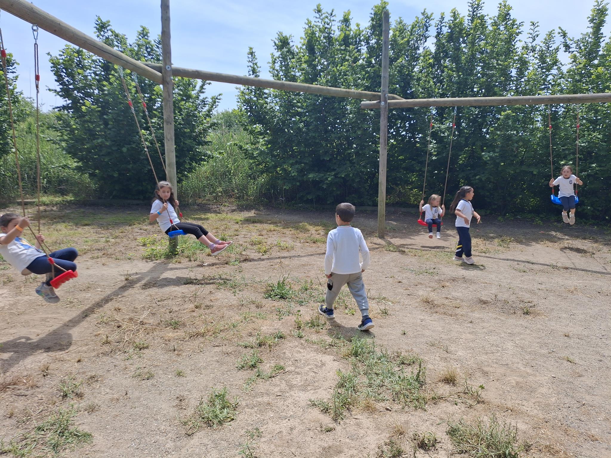 20250519_132150 (Copy)