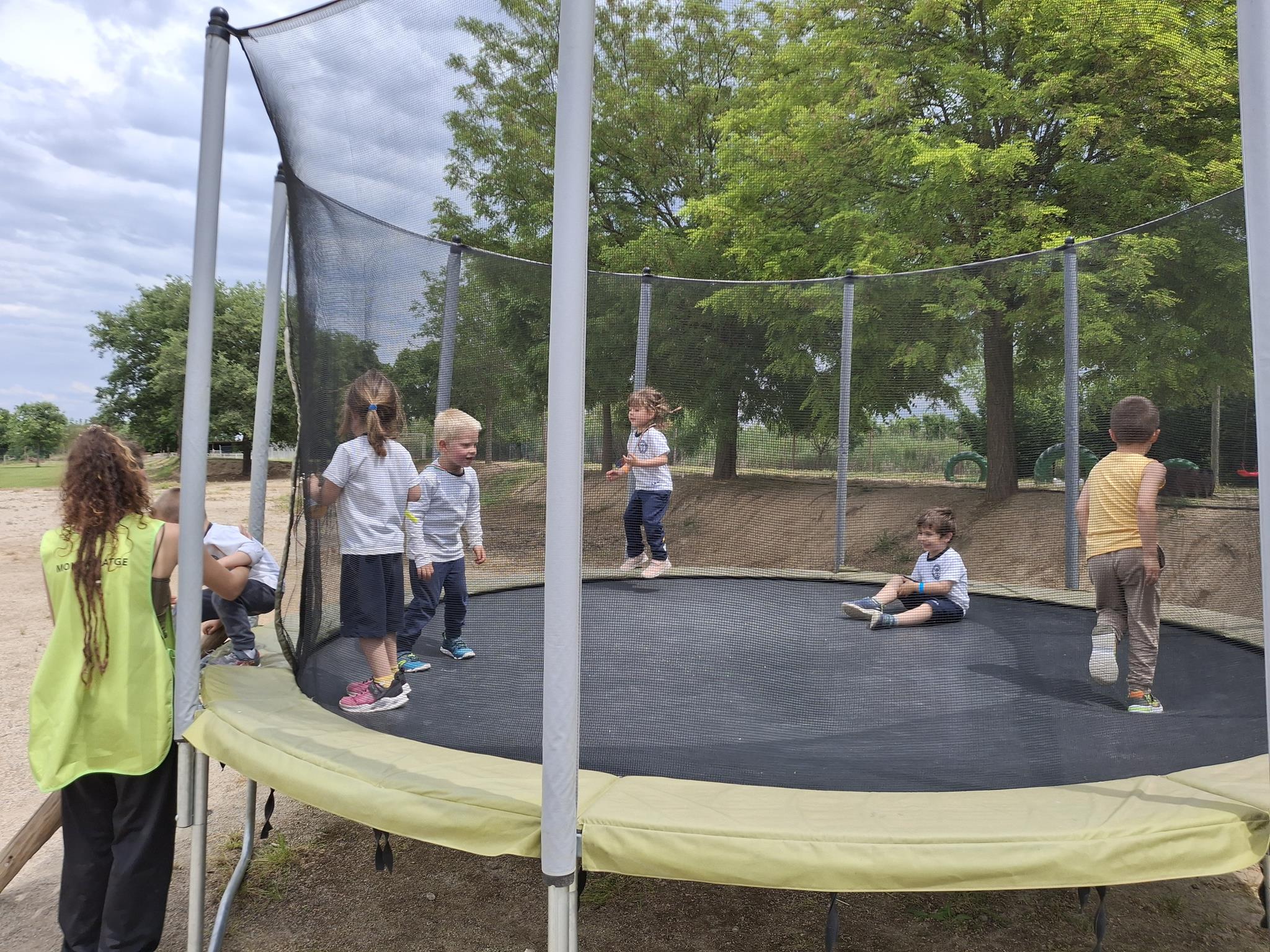 20250519_145345 (Copy)