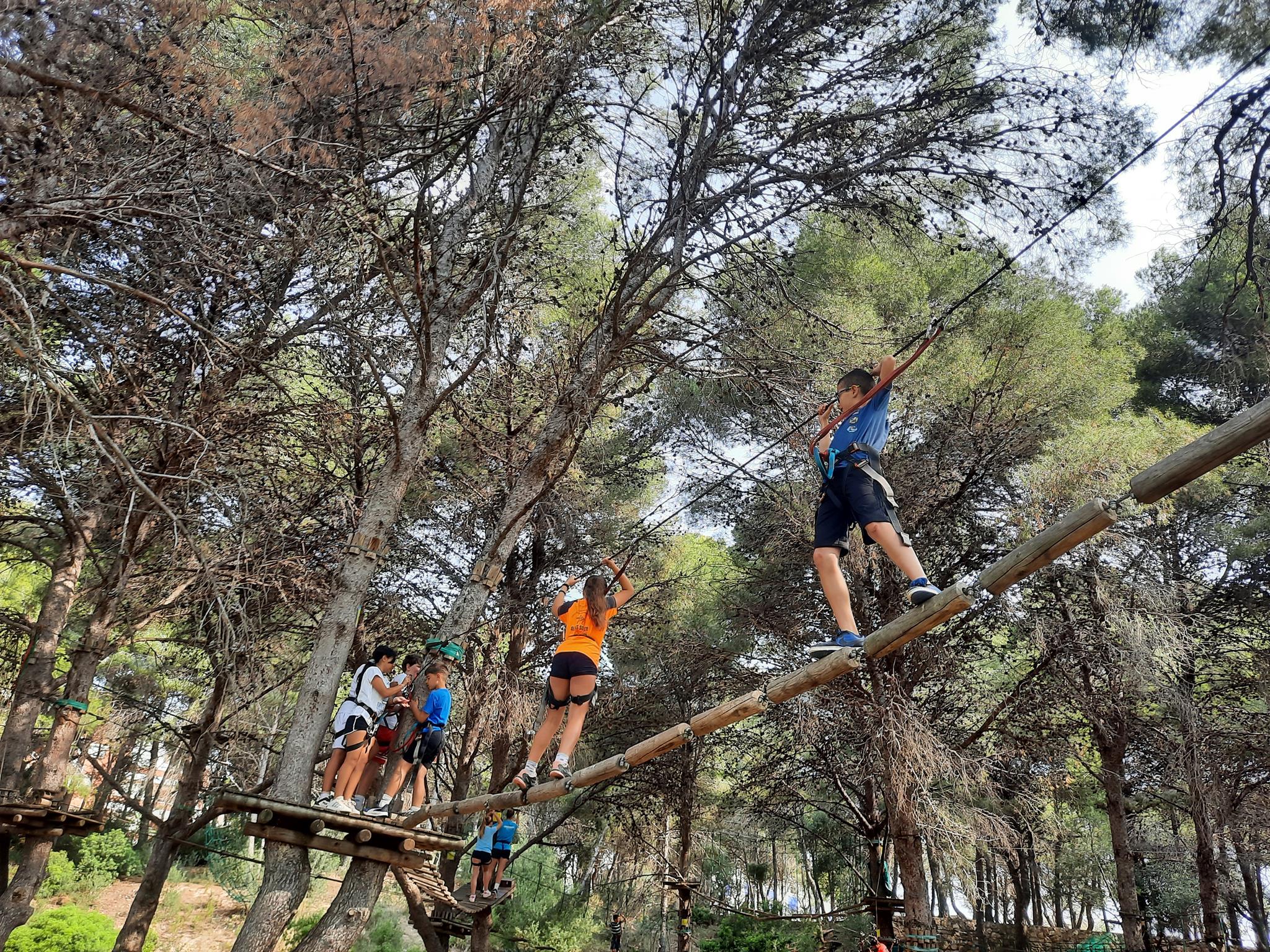 20250604_103814 (Copy)