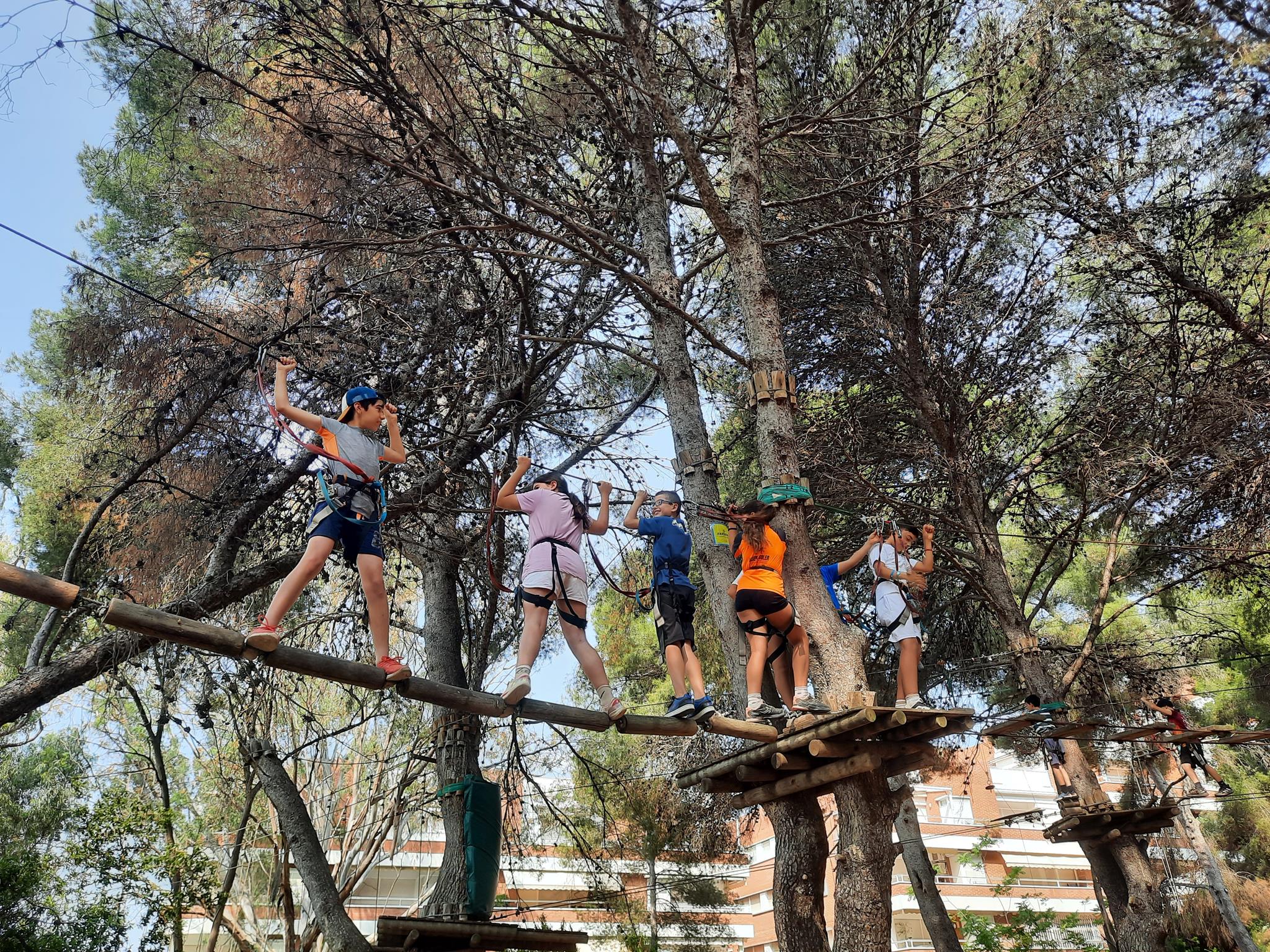 20250604_104257 (Copy)