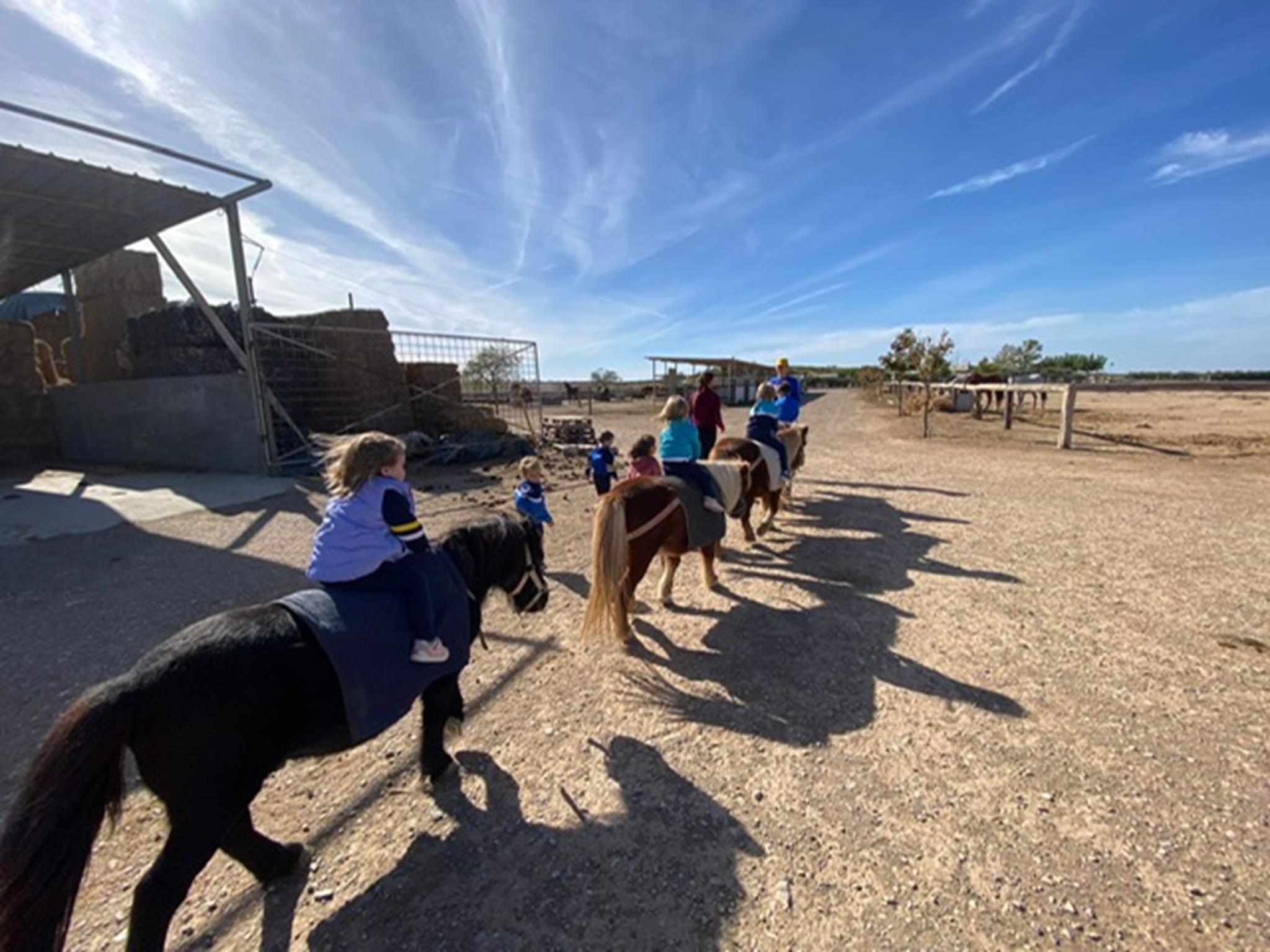 da4512f2-17ae-4837-8a31-ba3fb8909b4a (Copy)