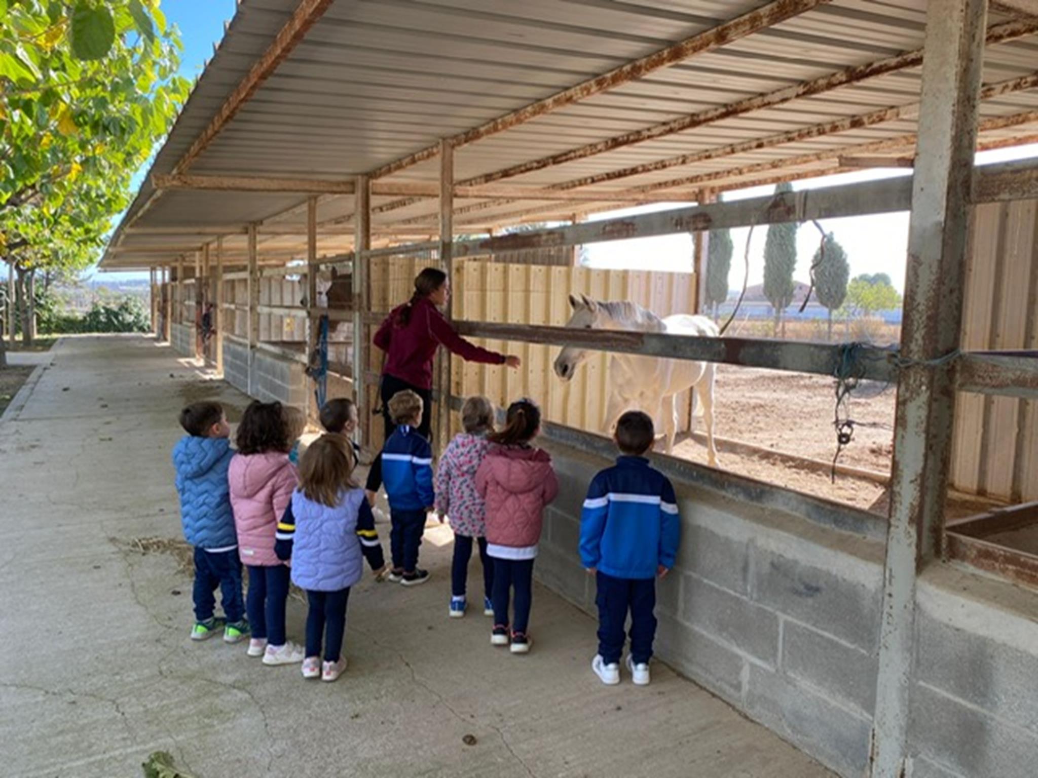 f0d908a7-c513-4ccc-af5a-7b121f066413 (Copy)