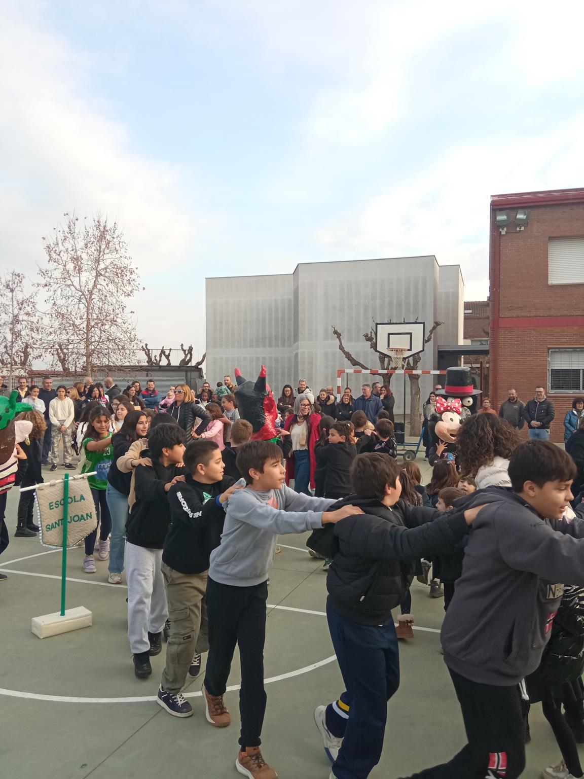 1765782484352 (Copy)