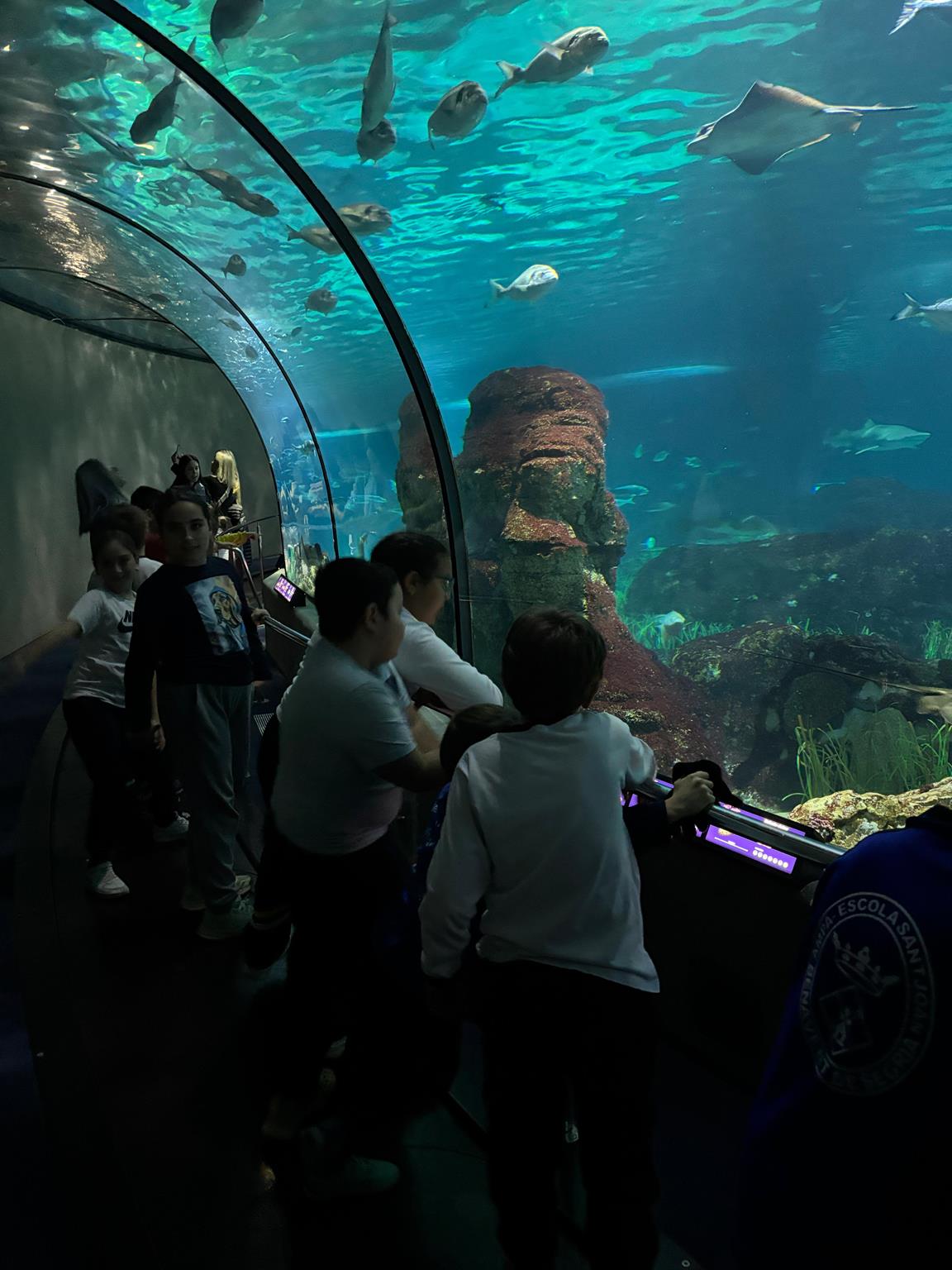 IMG-20251203-WA0012 (Copy)