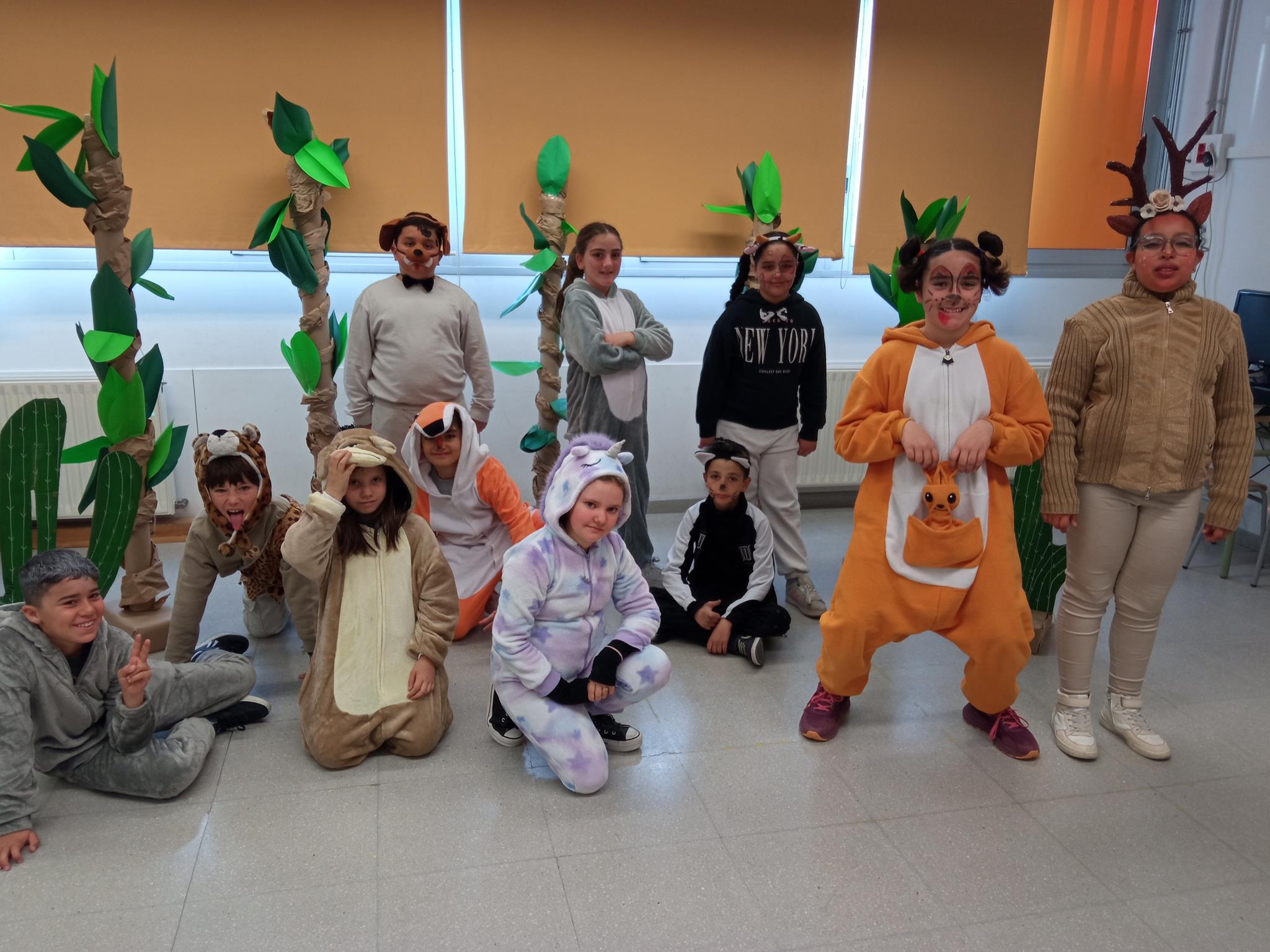 1771491764293 (Copy)