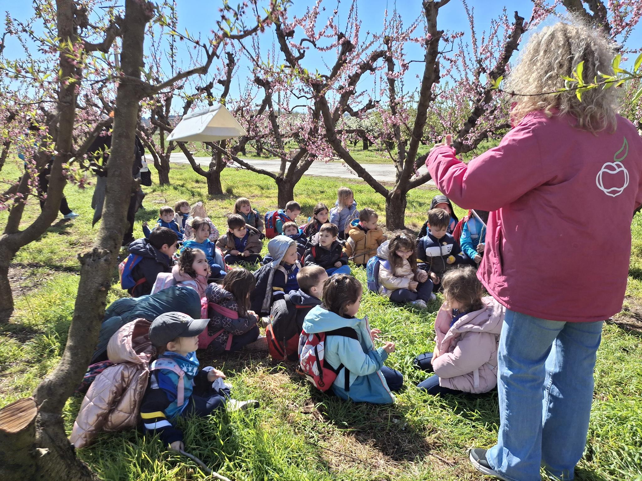 20260316_120552 (Copy)