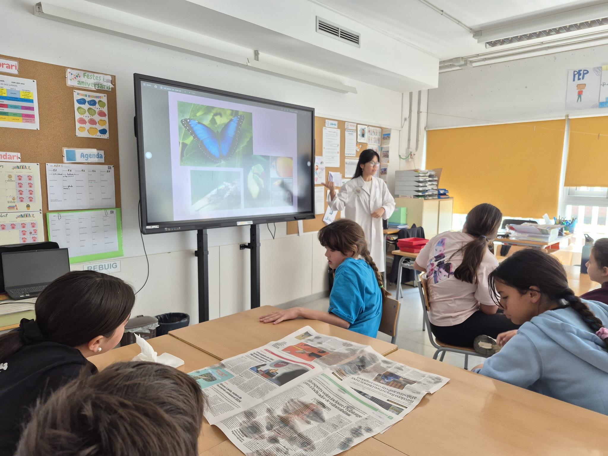 20260323_114029 (Copy)