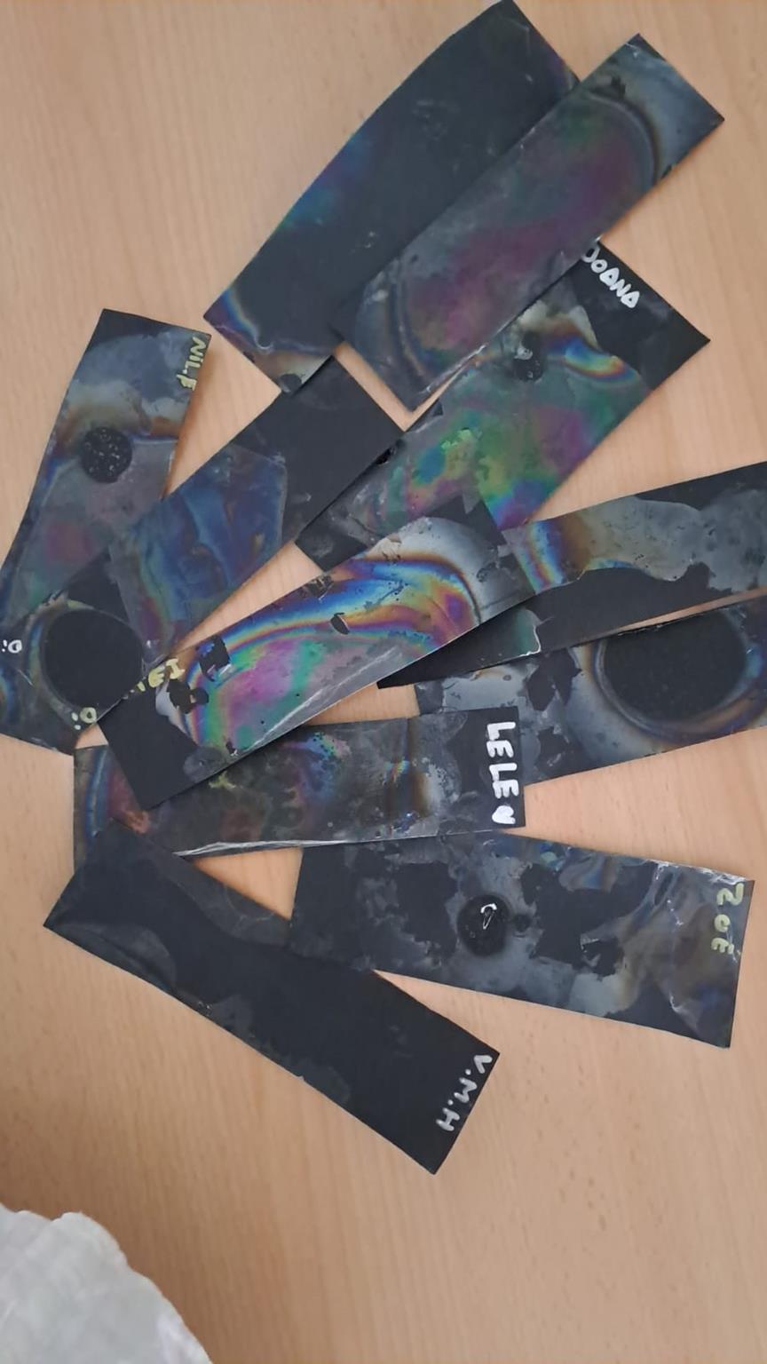 IMG-20260323-WA0006 (Copy)