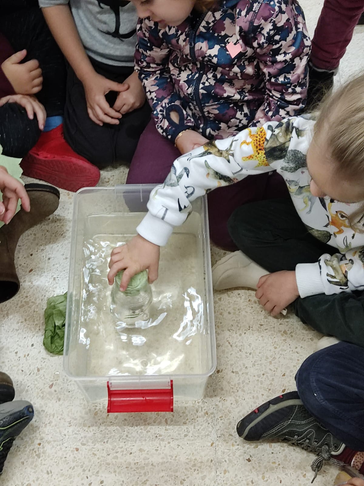 935b24bf-7de1-4f9a-865b-002d907d5e66