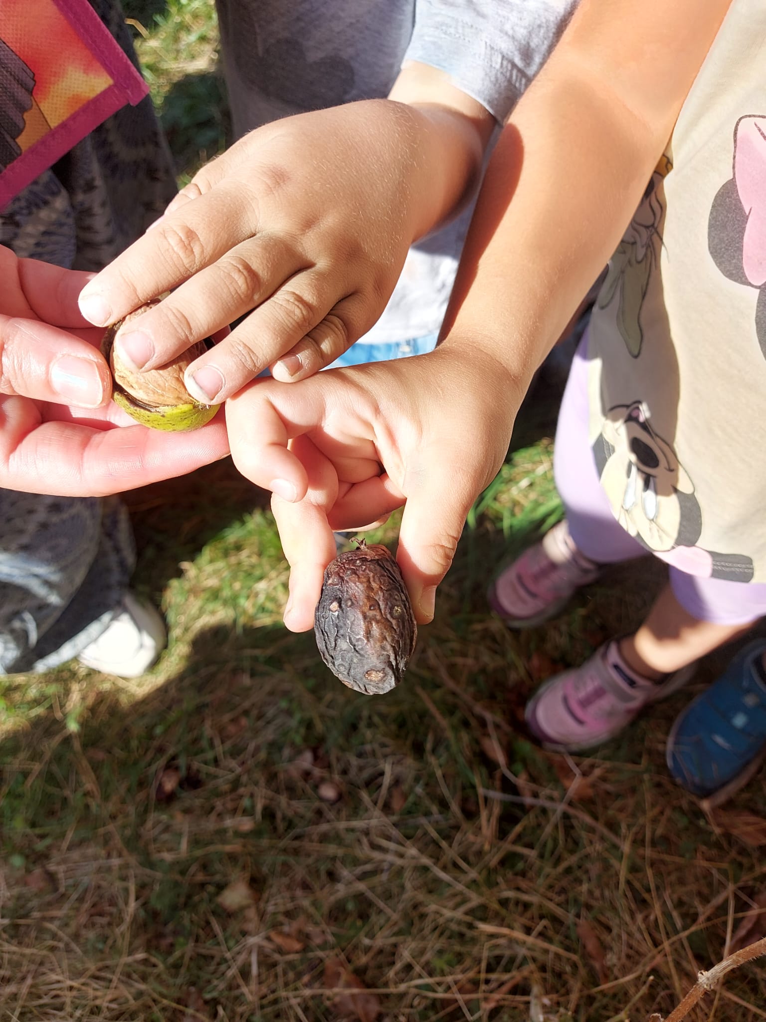 13228108-e22b-4e09-a8e6-9416be8f82f8