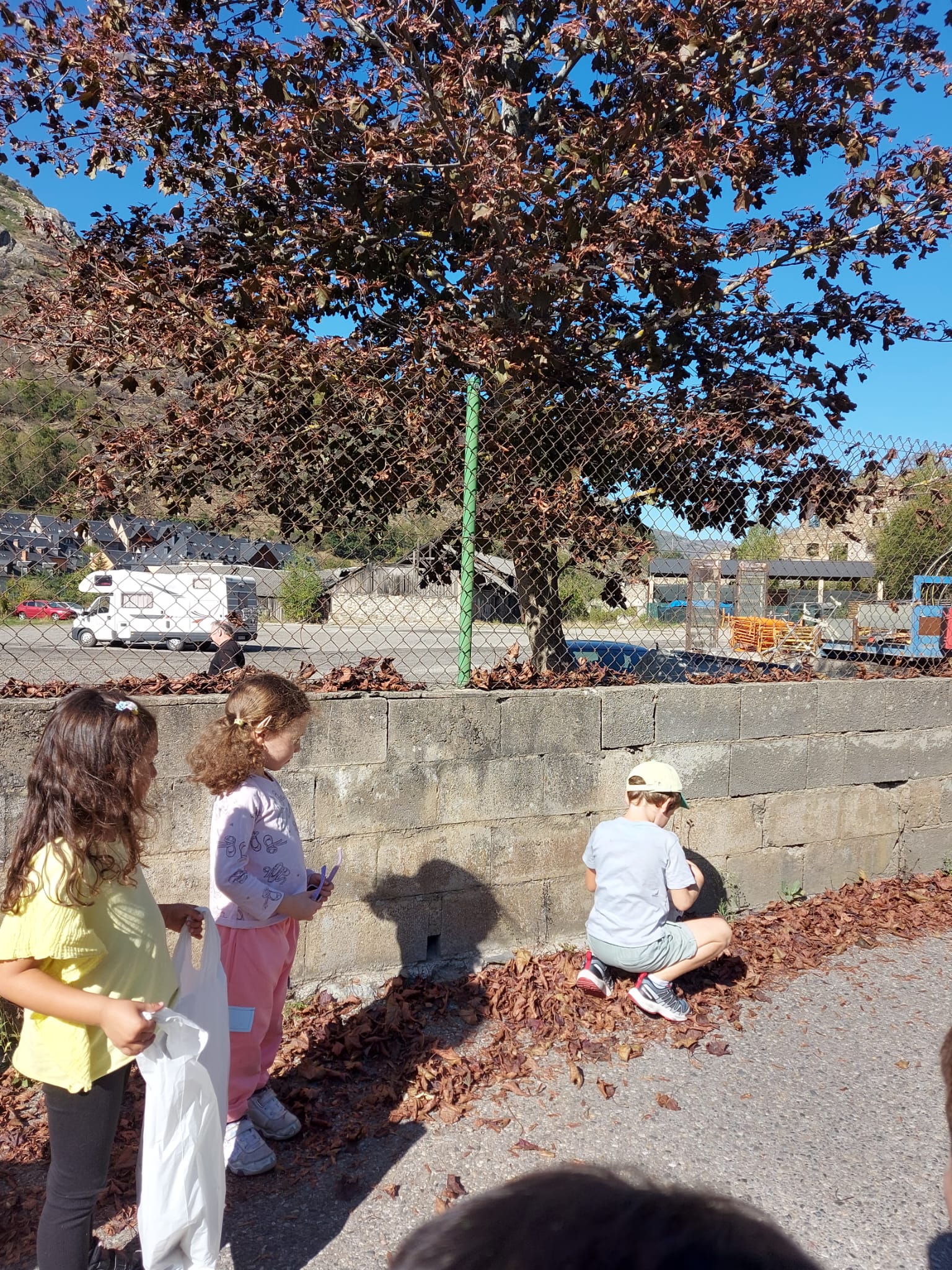 17a9e986-a446-4fad-adb1-3acfa88e4ff5