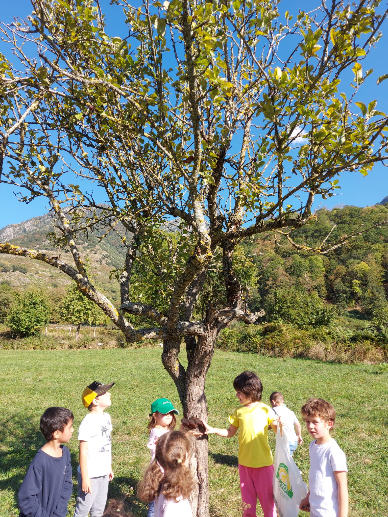 94a33aee-73aa-4556-a927-e51615c893fe