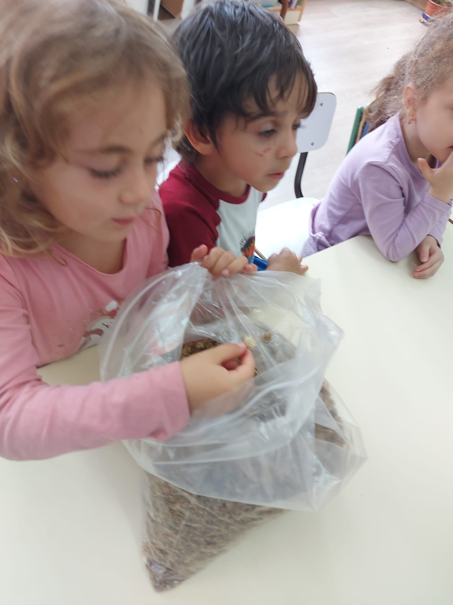 c350dd0e-4808-4324-94fd-8331da8b7918