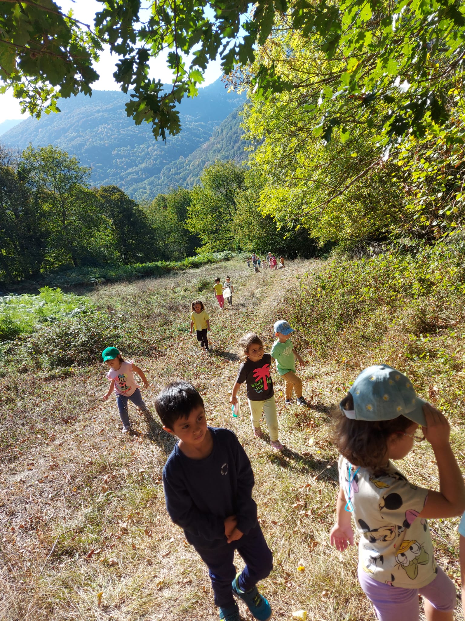 cd165f78-ff00-4135-9f4c-b3710e8ea71d