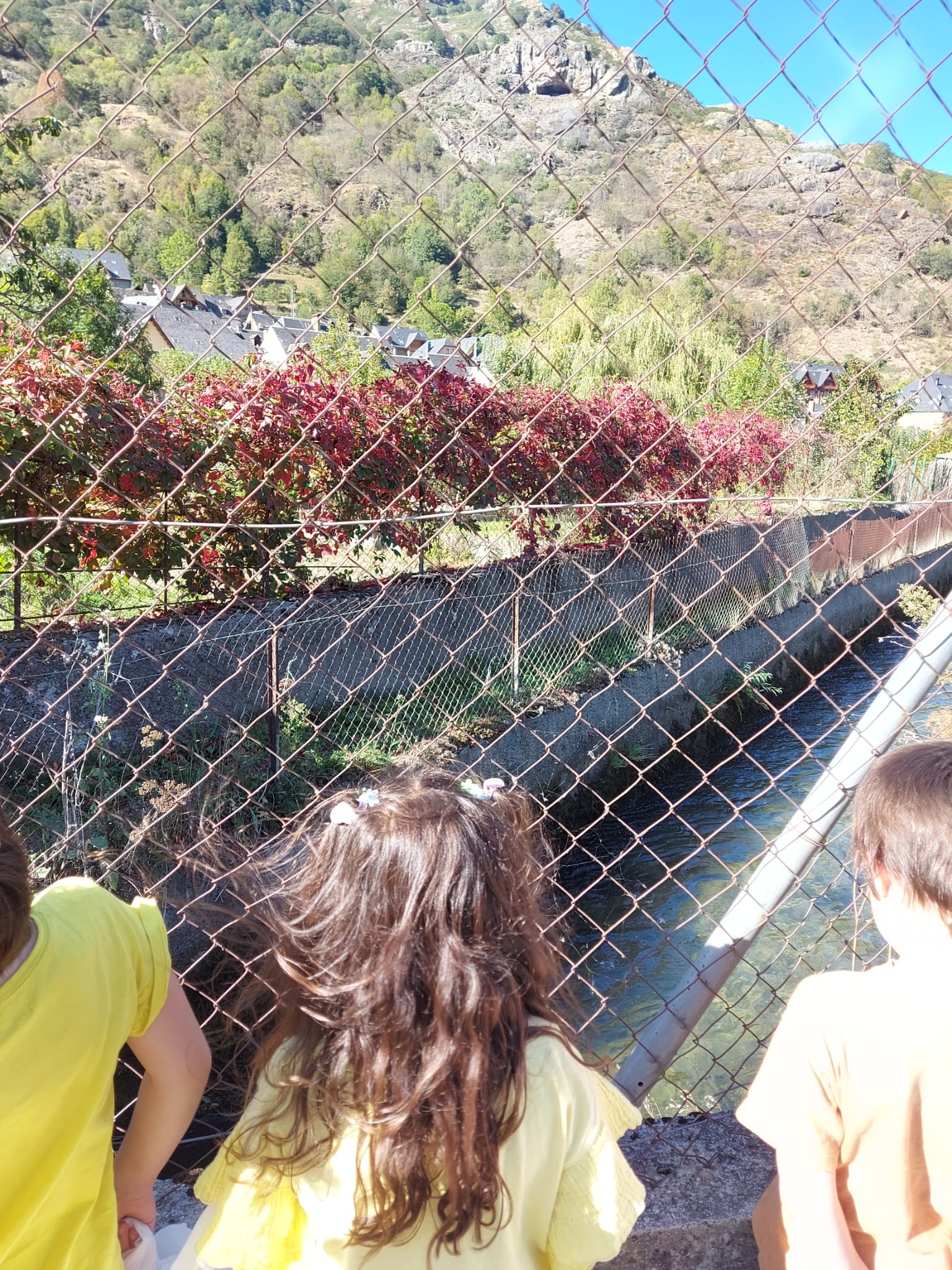 fd71eea3-1602-4b8b-905d-358f792accae