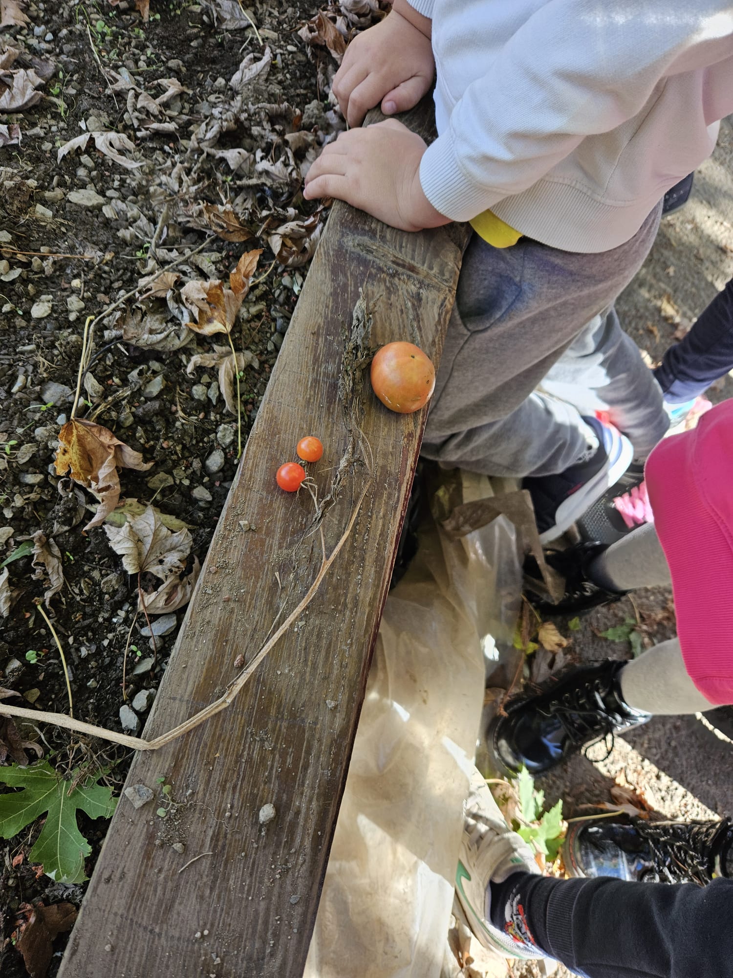 3145b741-603d-48c4-aa8c-3799bafe5f01