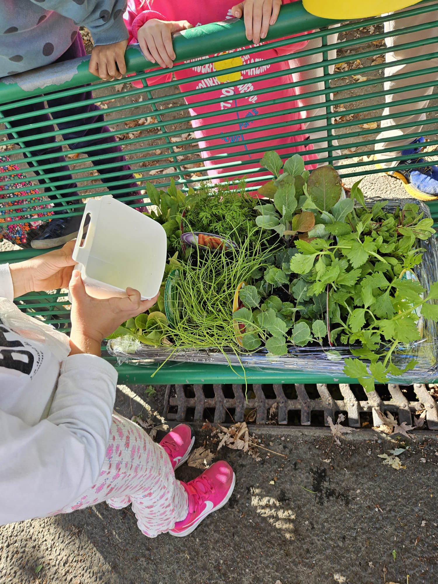 413d5657-144f-421d-89bc-be7d8d3a6741