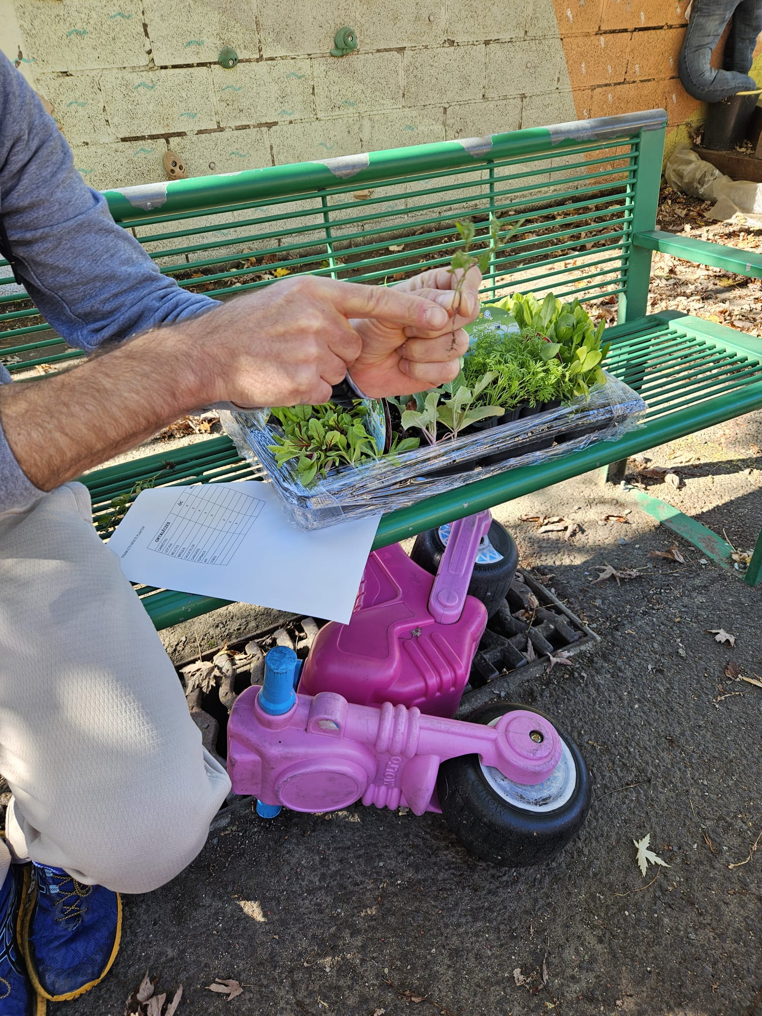 58e91f13-de0f-4175-985d-c1a4fd7d5fed