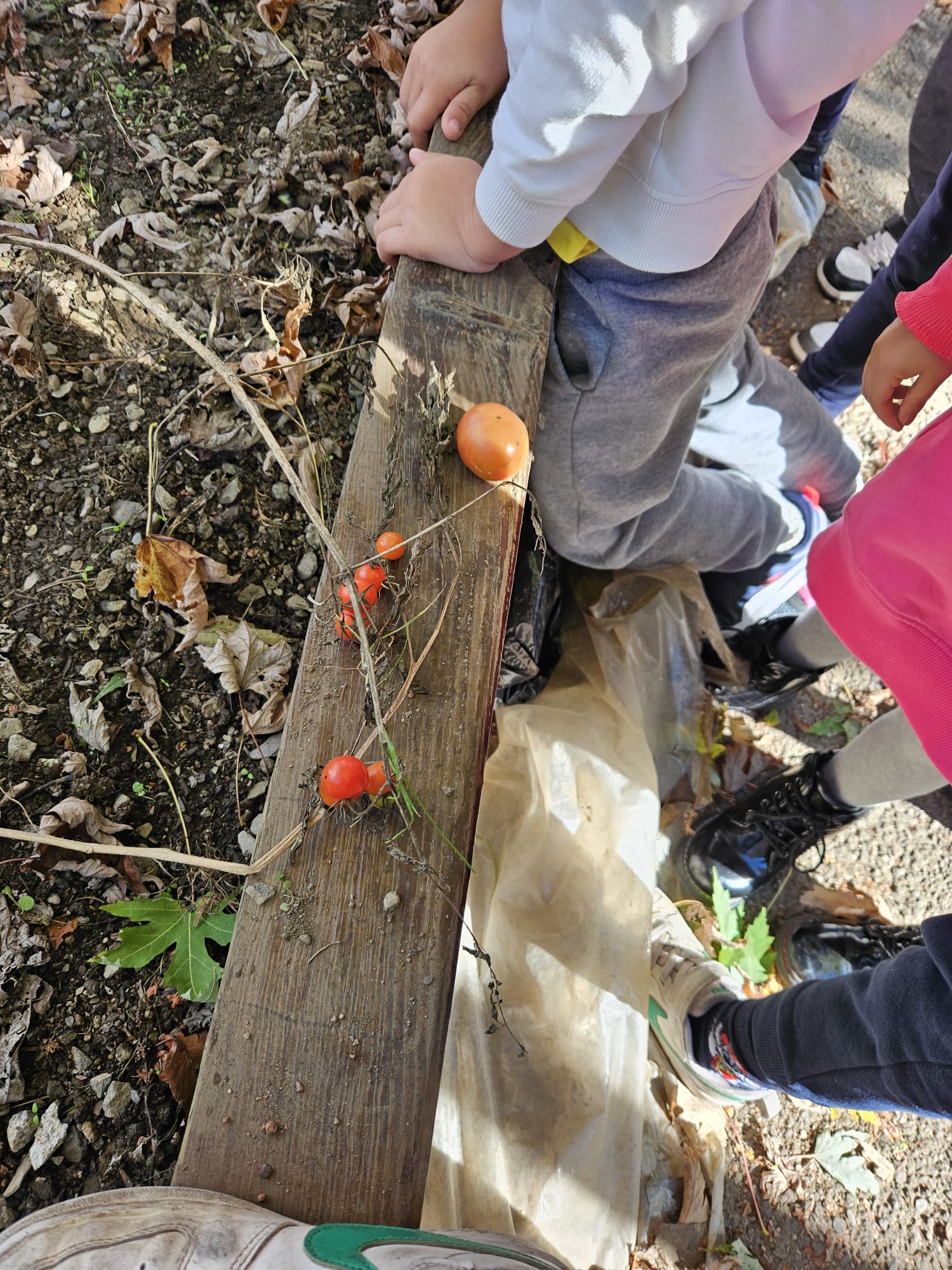 7122004a-81f4-4d5a-a79a-5289ee799c70