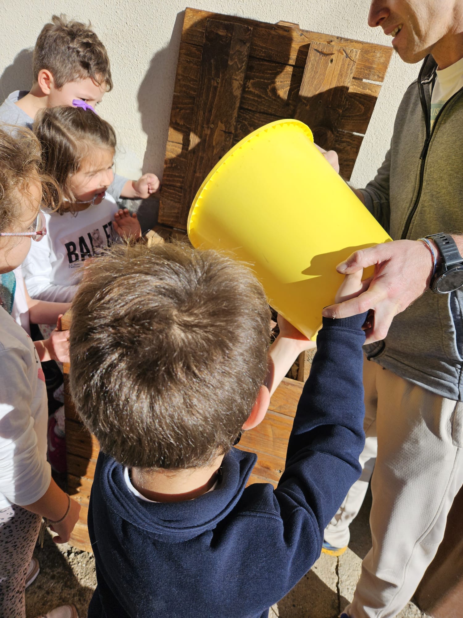 7bfc4a5b-af77-481b-8955-976e52cc701d