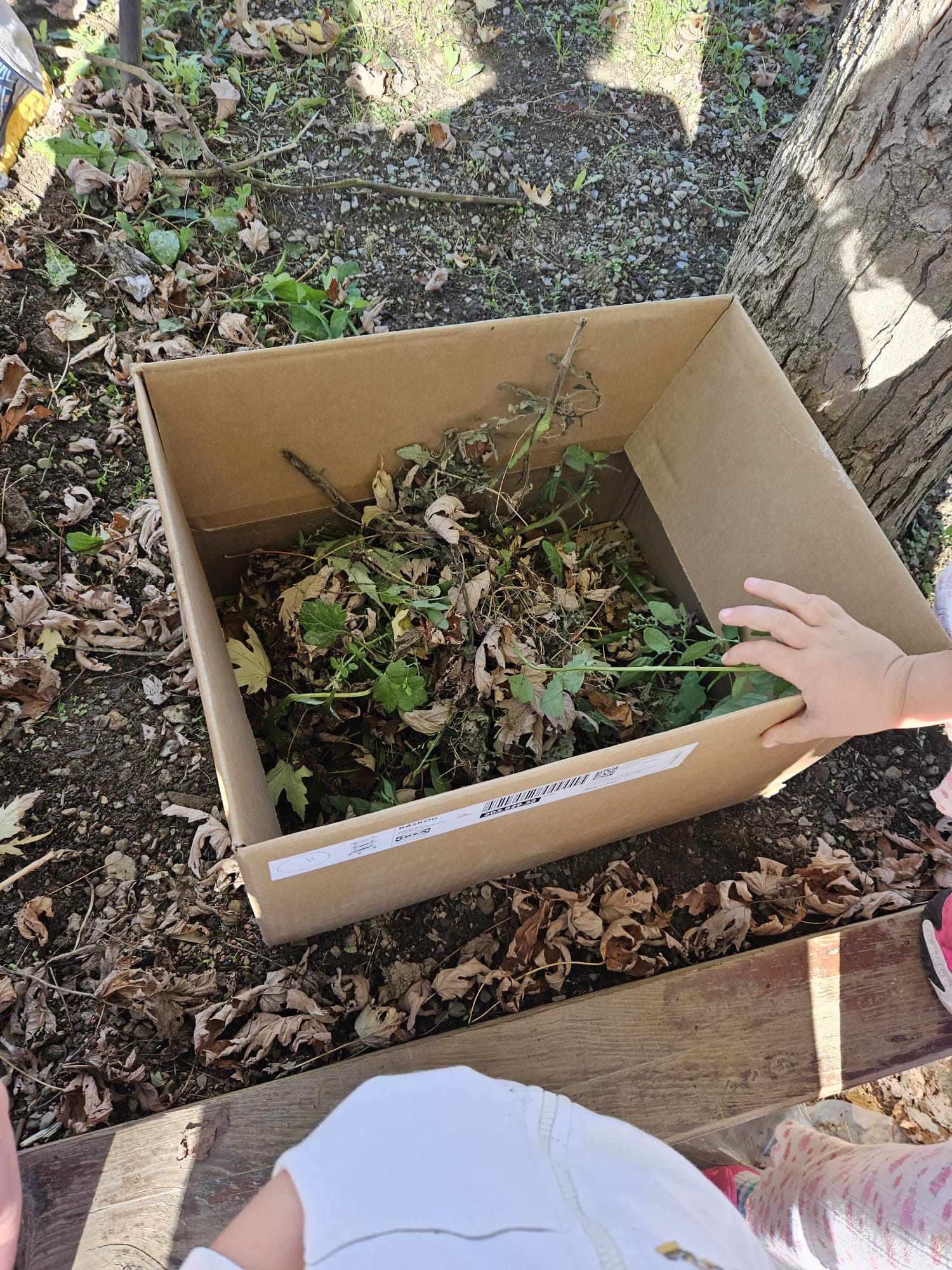 c54f7f5f-6362-4d98-a97c-ca3b35482e4f