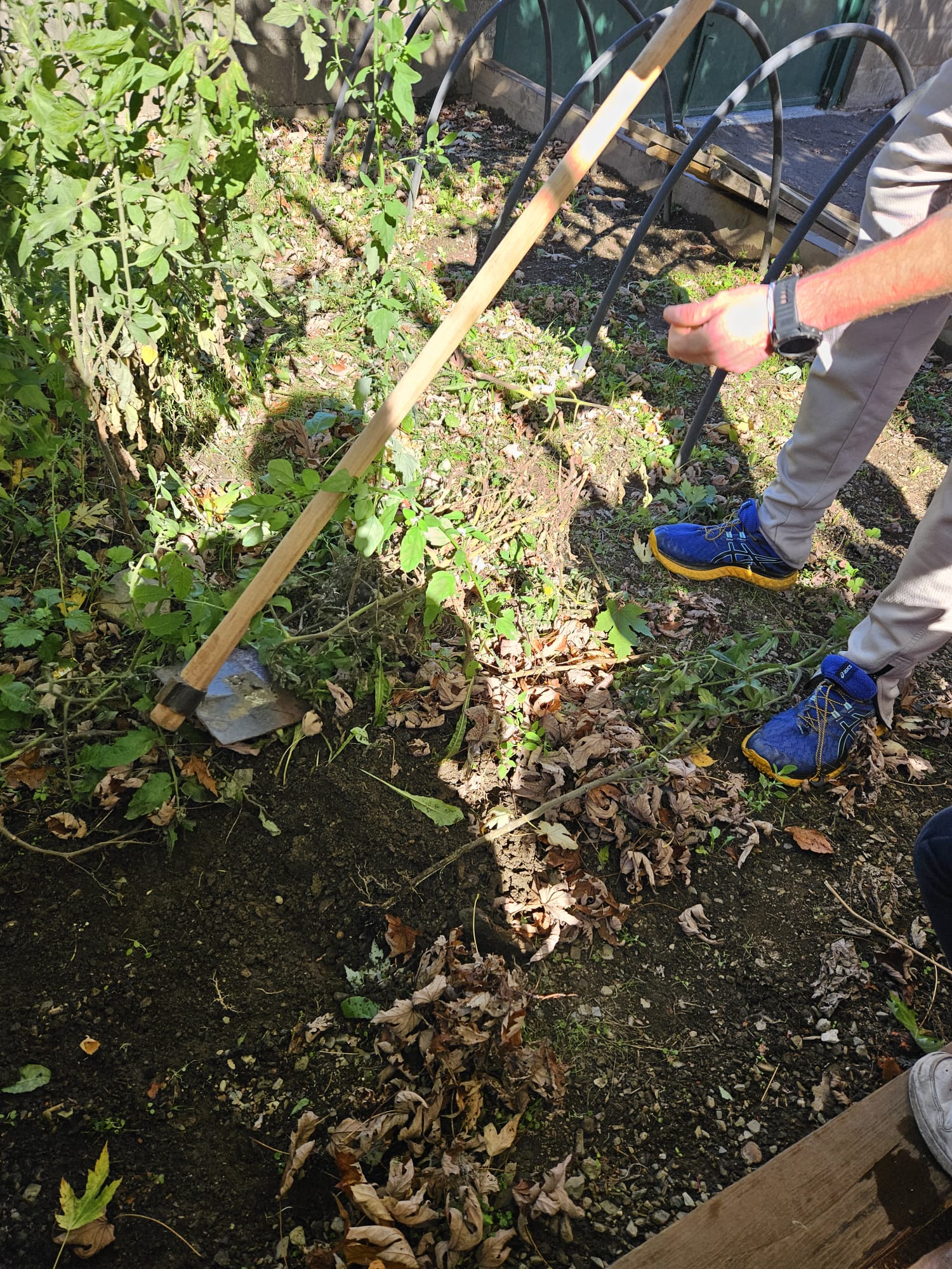 cacd108e-85e5-406b-b234-8287c19363d4