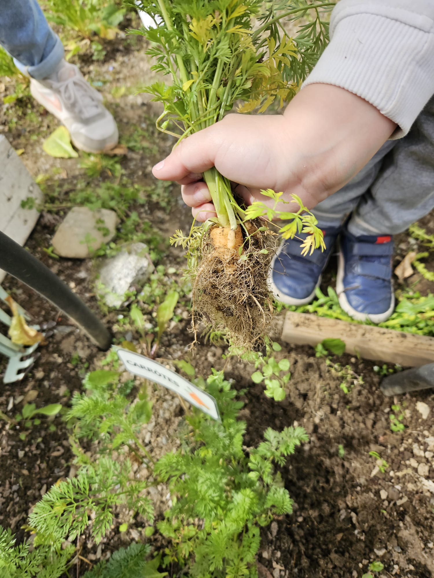 03b2560b-82ce-4fe9-823f-8f9c18450126