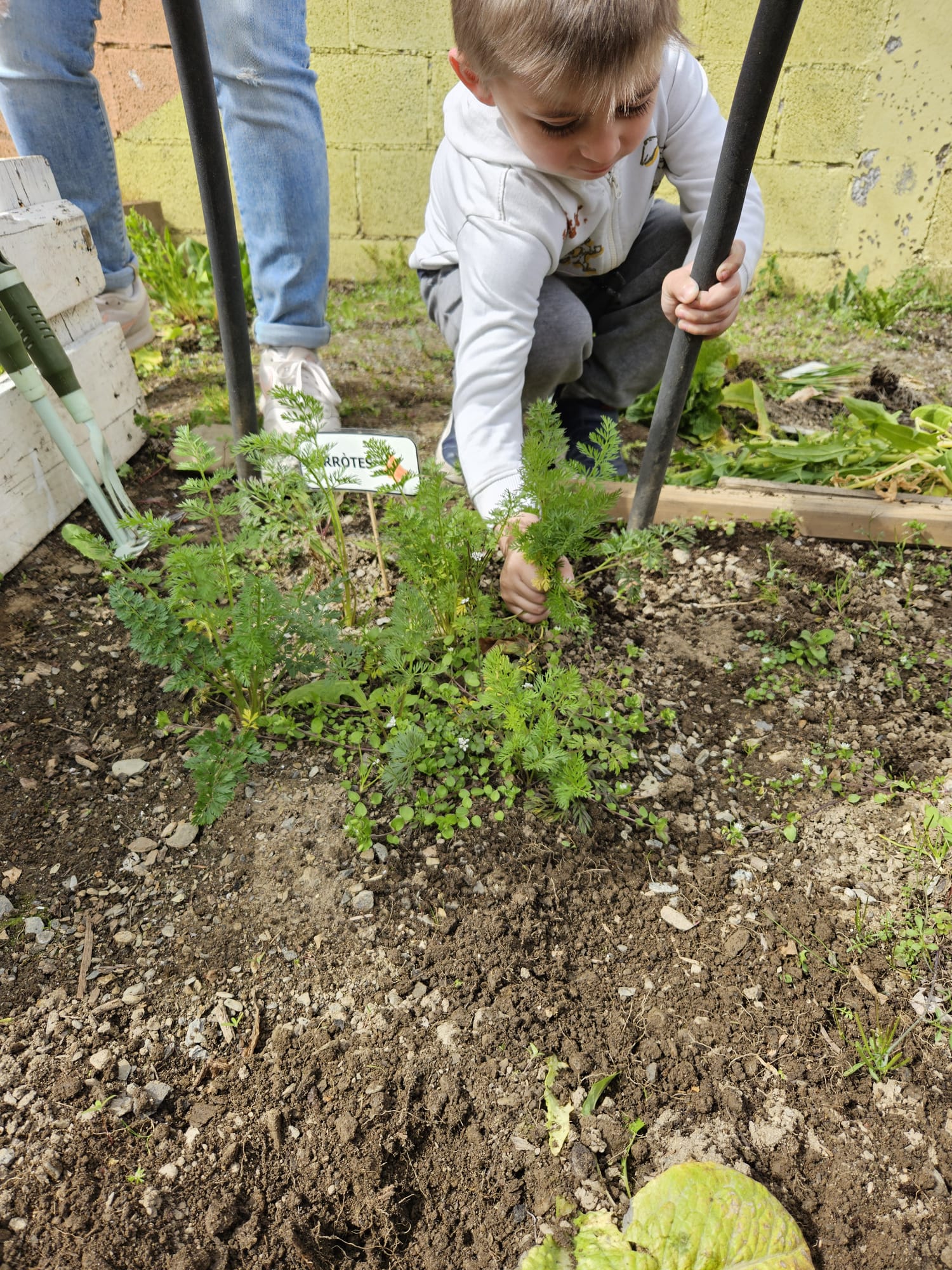 1f1d608b-f528-4a88-97de-dc5615c3fabd