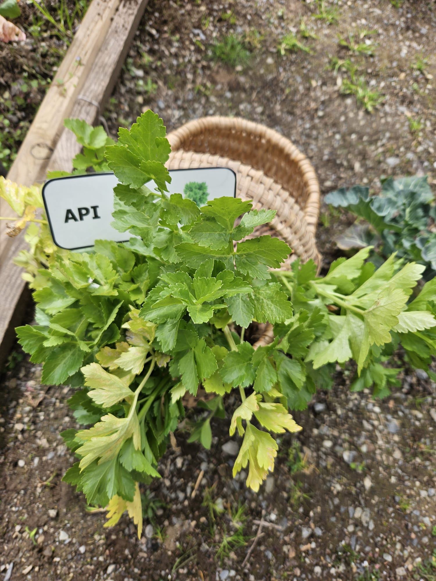 63a4dfa5-0351-47f7-a000-4c0db26d5892