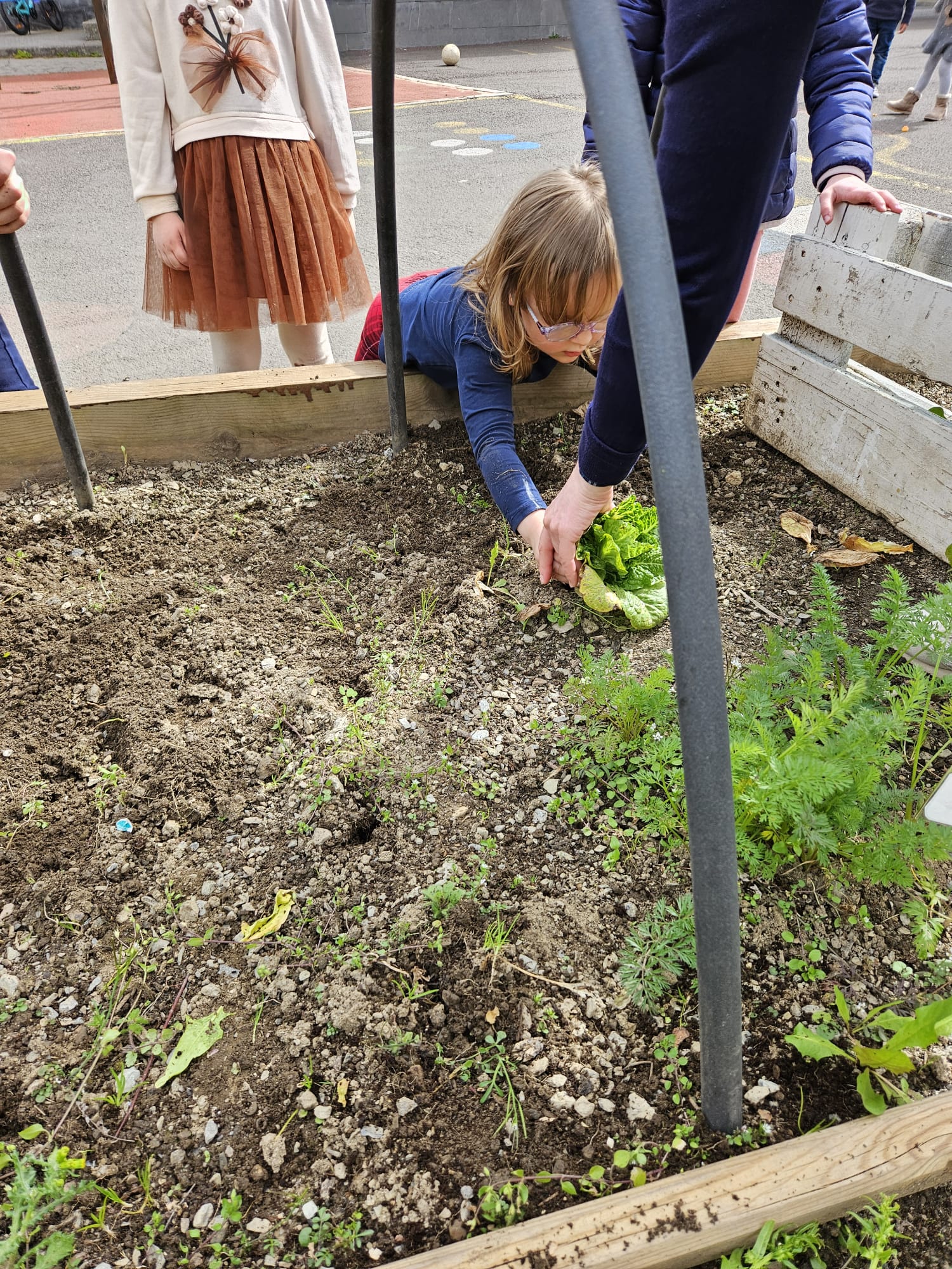 906b026e-4e96-4d01-8935-38091a617690