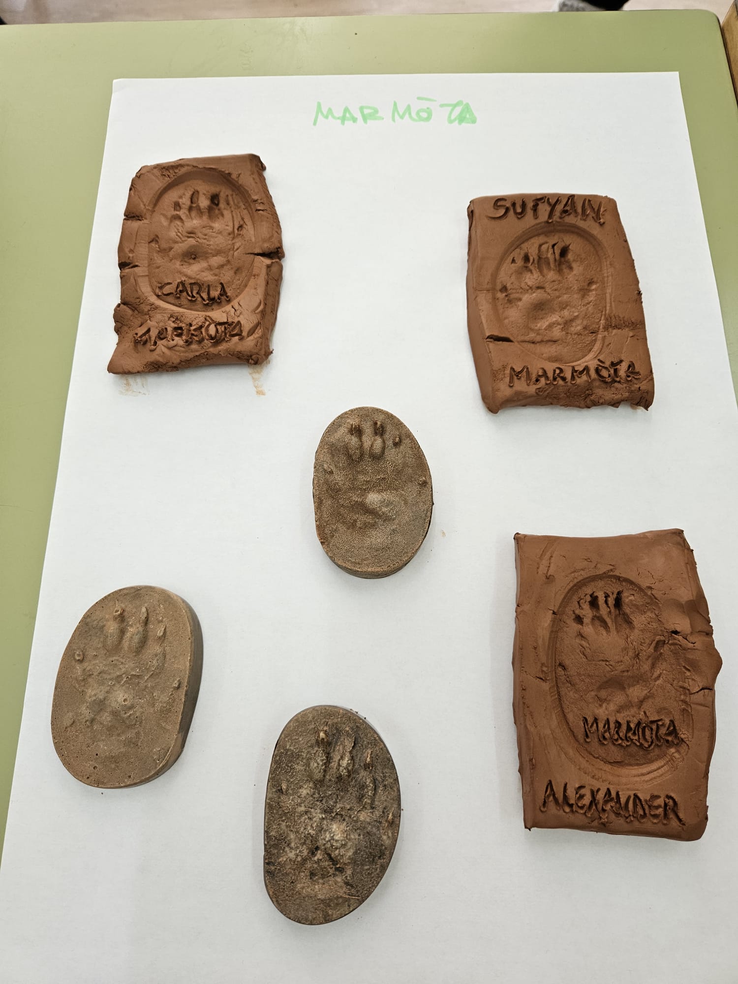 175d8d44-233a-4759-a9e2-2cc4535293be